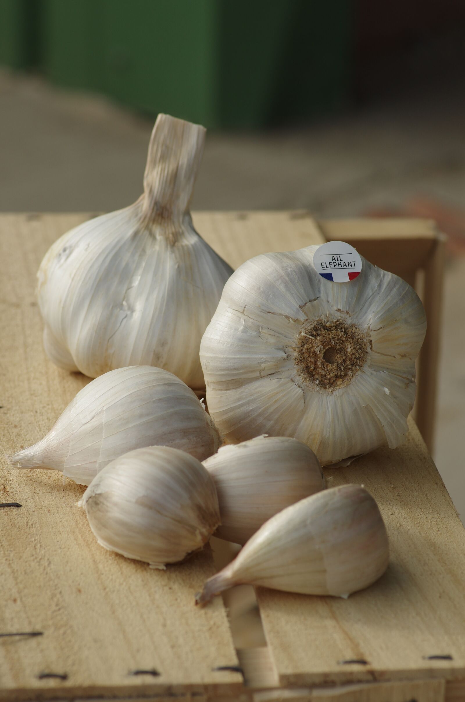 Pentax K-5 II sample photo. Garlic, garlic elephant, food photography