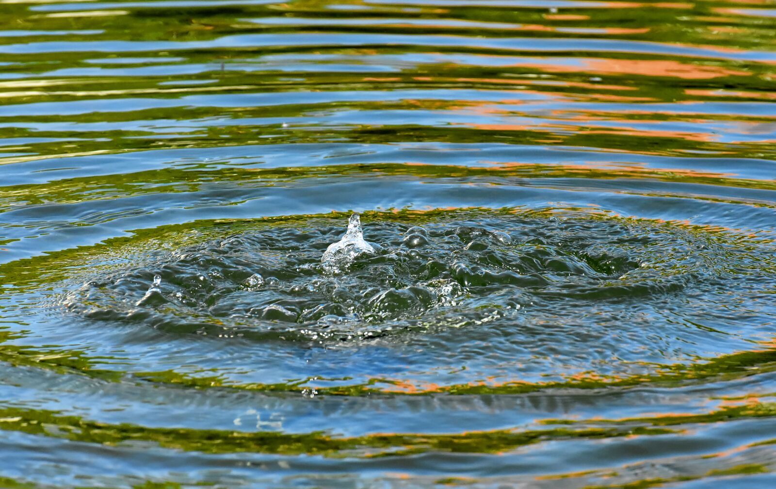 Nikon D7200 sample photo. Water, water surface, bubble photography