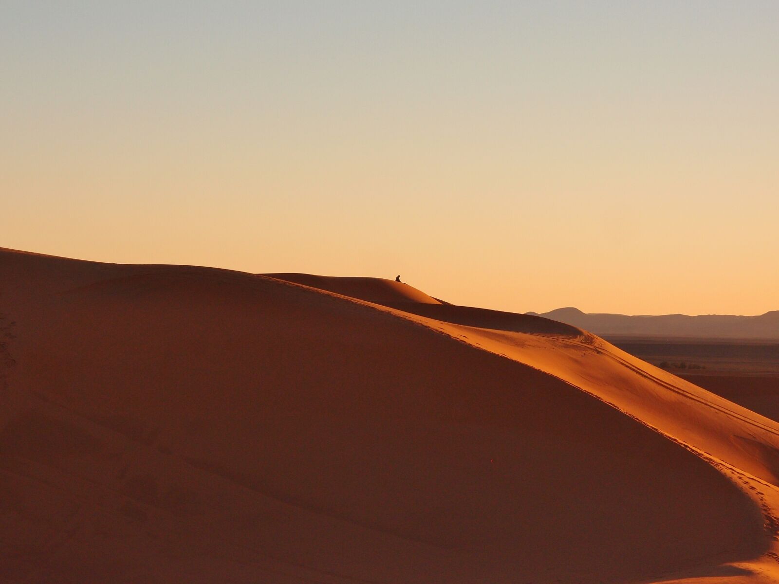 Olympus XZ-1 sample photo. Morocco, sahara desert, sand photography