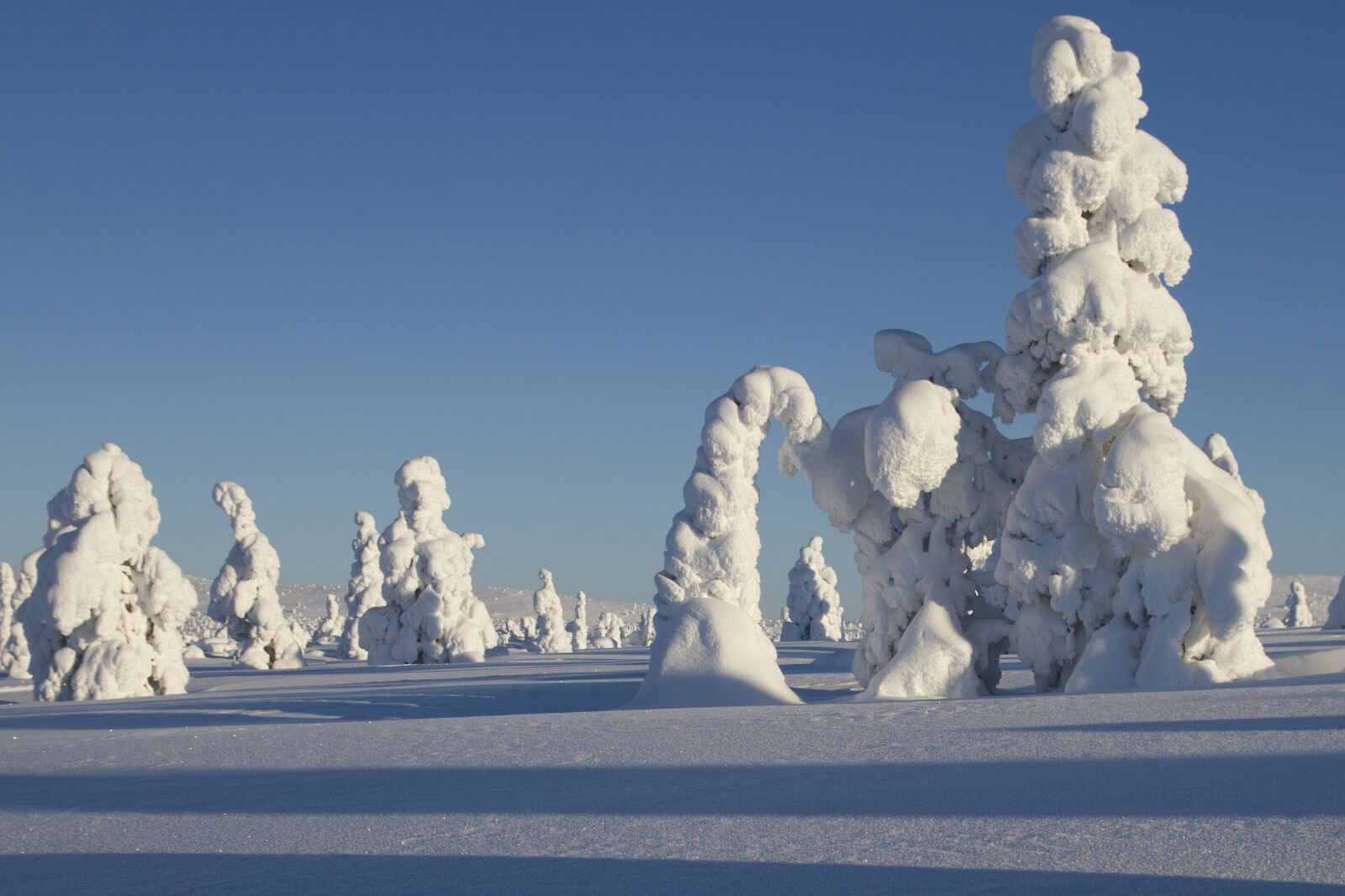 Canon EOS 7D sample photo. Lapland, winter, snow photography