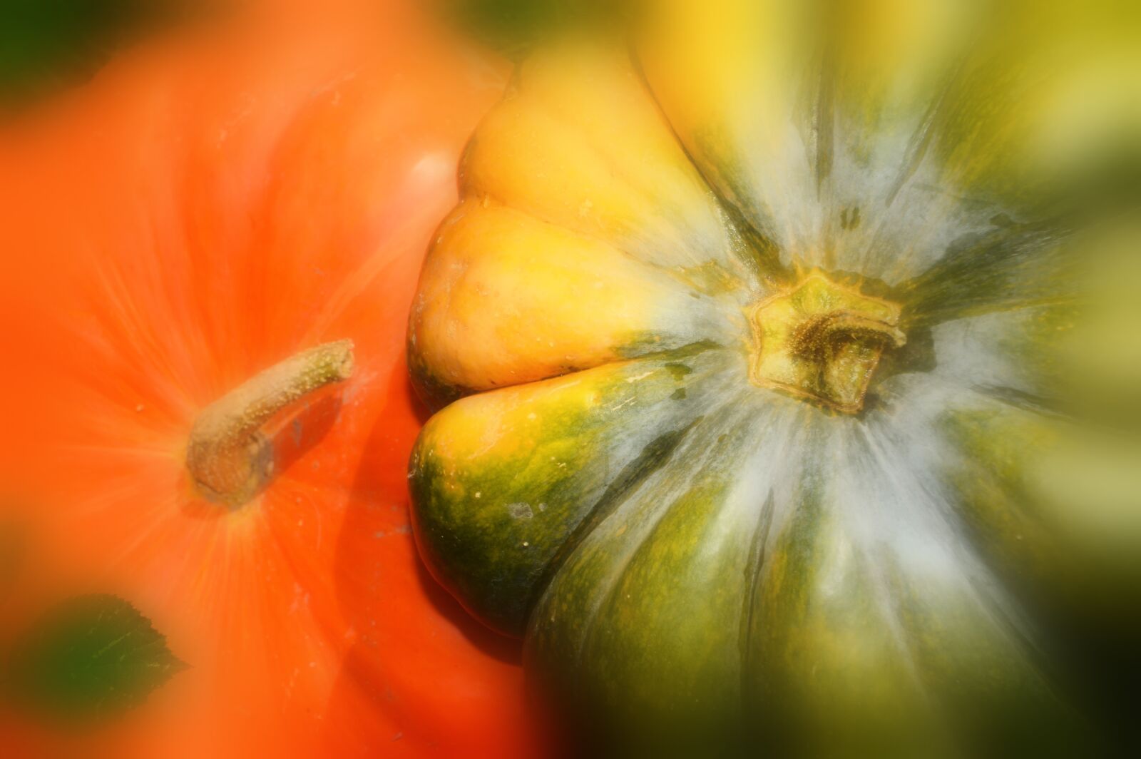 Nikon D3200 sample photo. Pumpkin, vegetables, fall photography