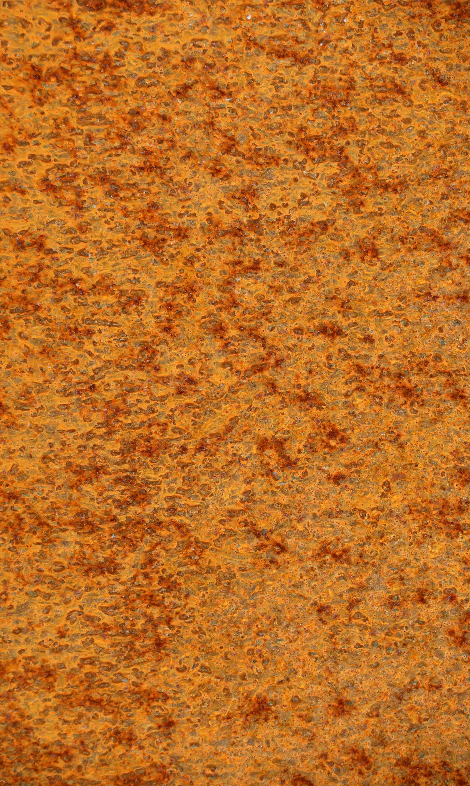 Canon PowerShot G3 X sample photo. Rust, iron, iron plate photography