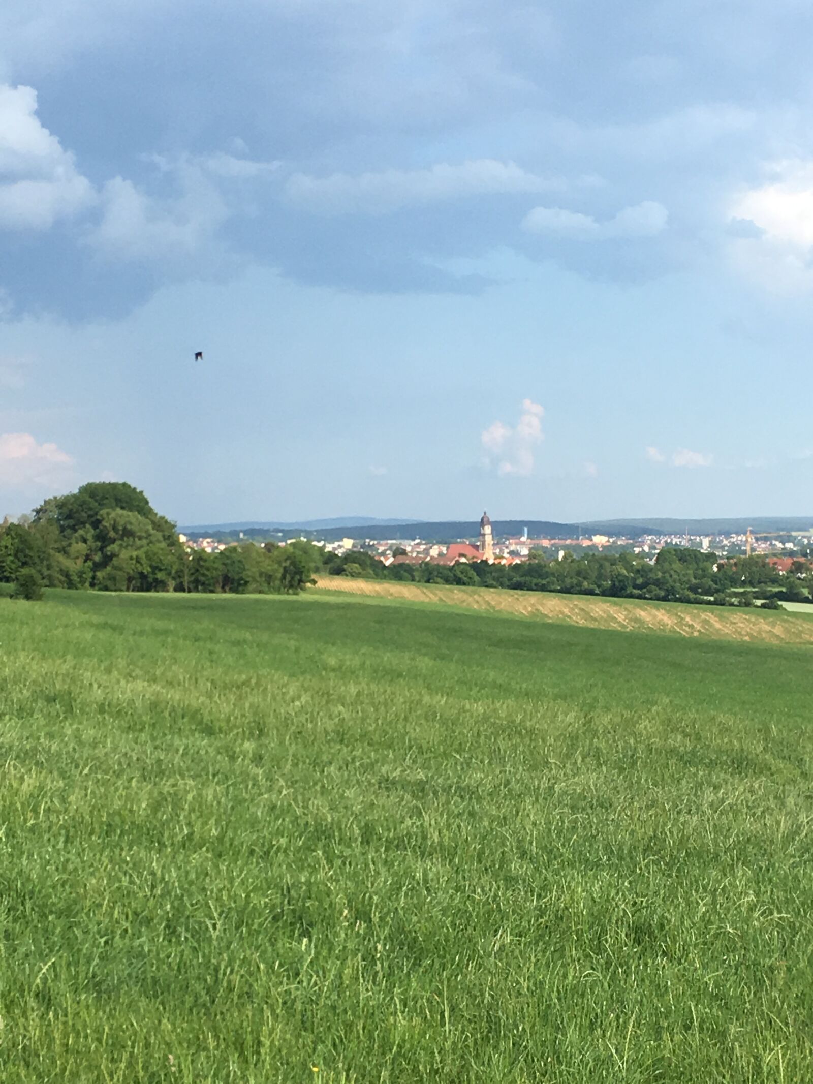 Apple iPhone 6s sample photo. Amberg, upper palatinate, bavaria photography