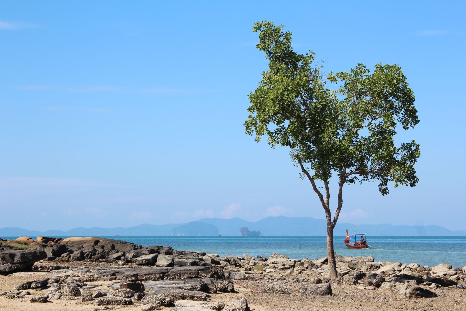 Canon EOS 600D (Rebel EOS T3i / EOS Kiss X5) sample photo. Tree, beach, boat photography