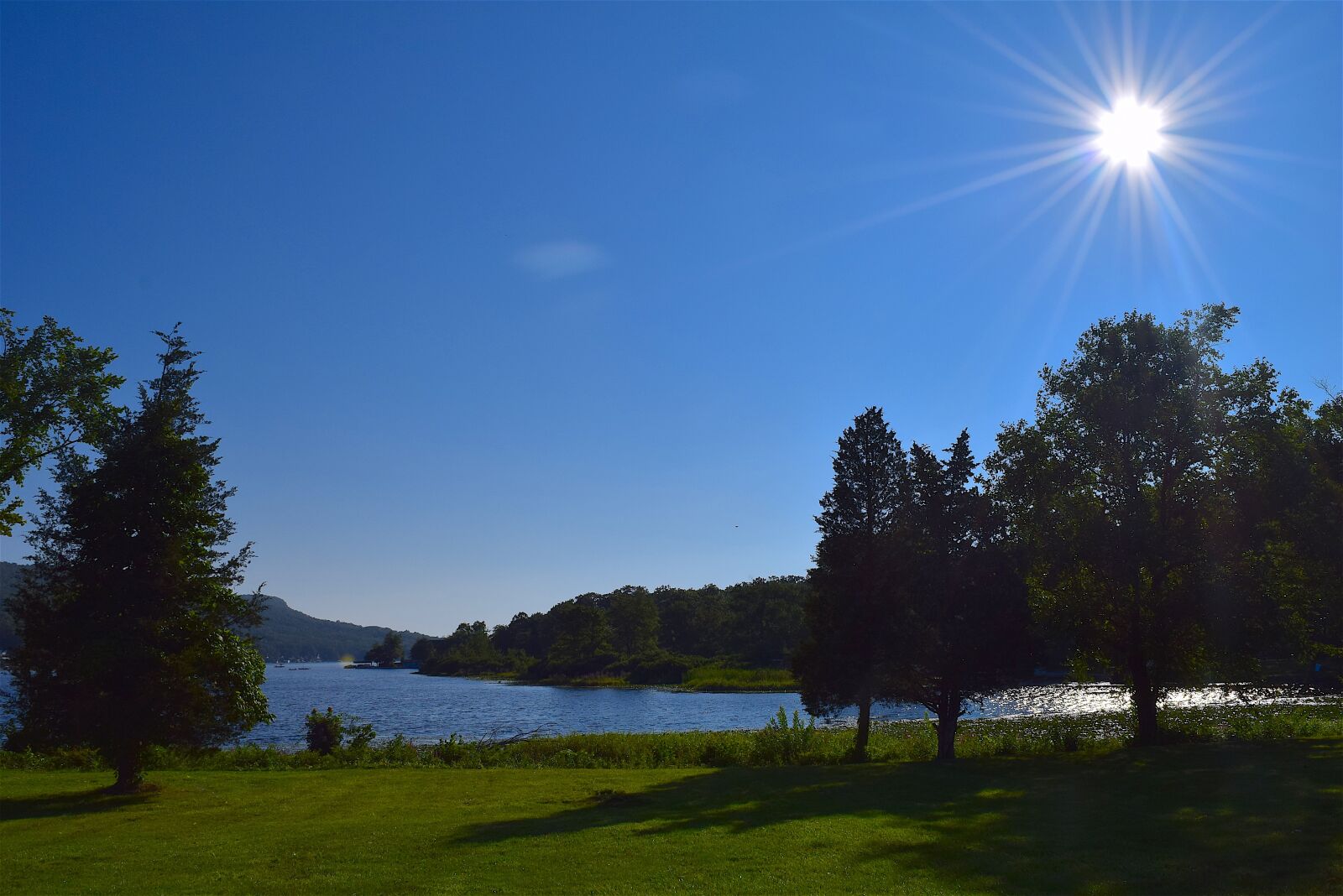 Nikon D3300 sample photo. Sun, sky, park photography