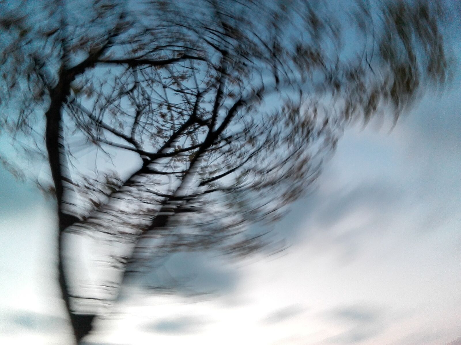 HUAWEI P8 Lite sample photo