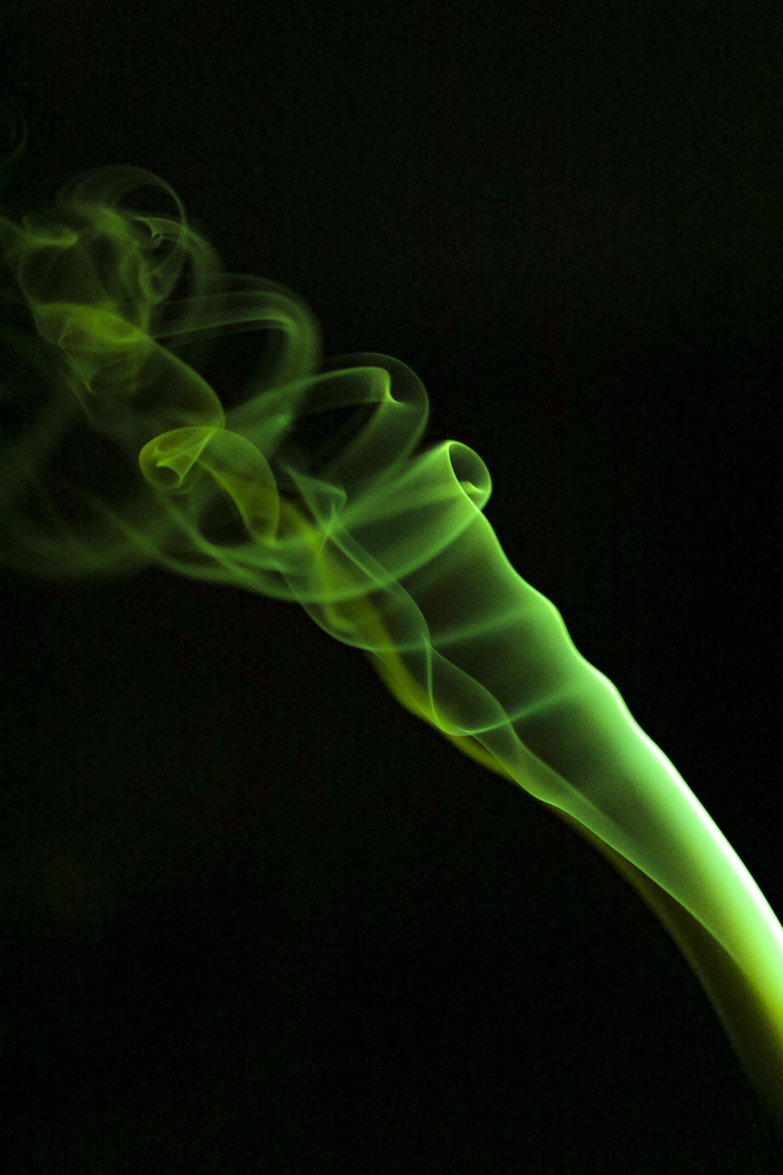 Canon EF 100mm F2.8L Macro IS USM sample photo. Smoke, green, creative photography
