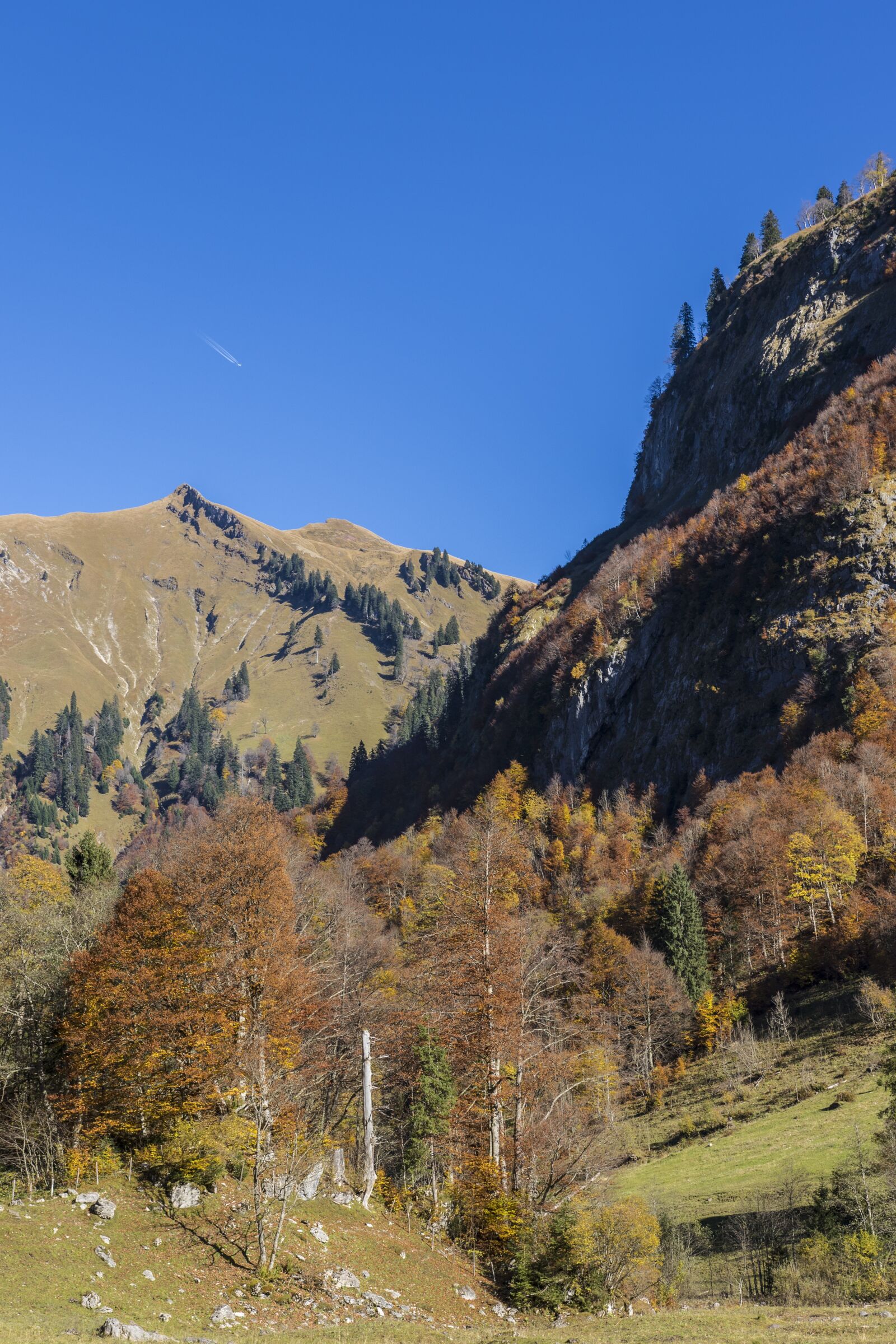 Canon EOS 7D Mark II sample photo. Mountain forests, autumn forest photography