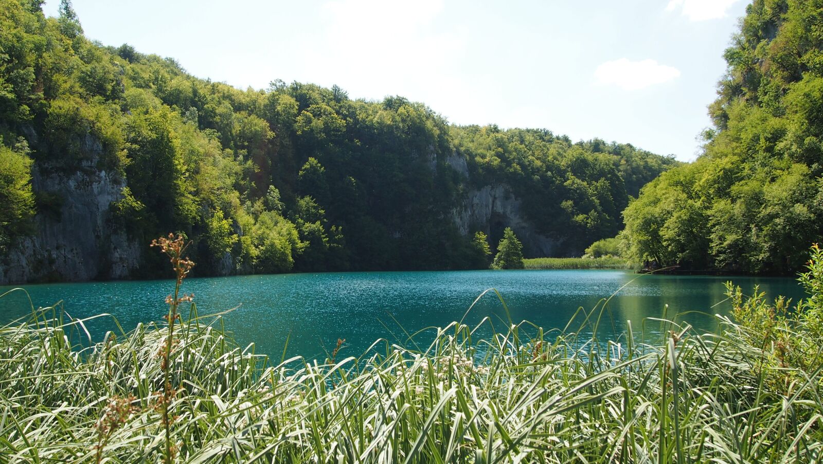 Olympus PEN E-PL3 sample photo. Plivicer lakes, croatia, forest photography