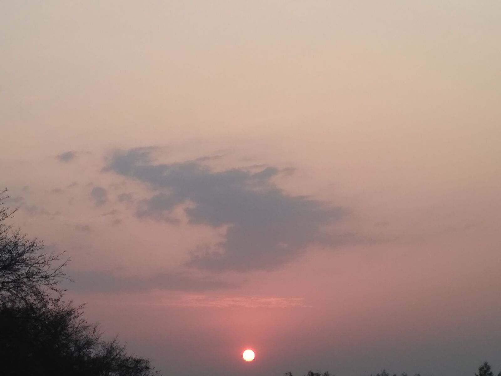 Xiaomi Redmi 3S sample photo