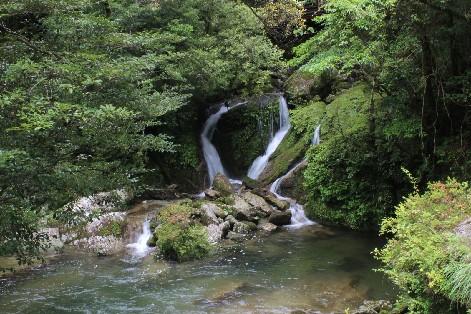 Canon EOS 600D (Rebel EOS T3i / EOS Kiss X5) sample photo. Falls photography