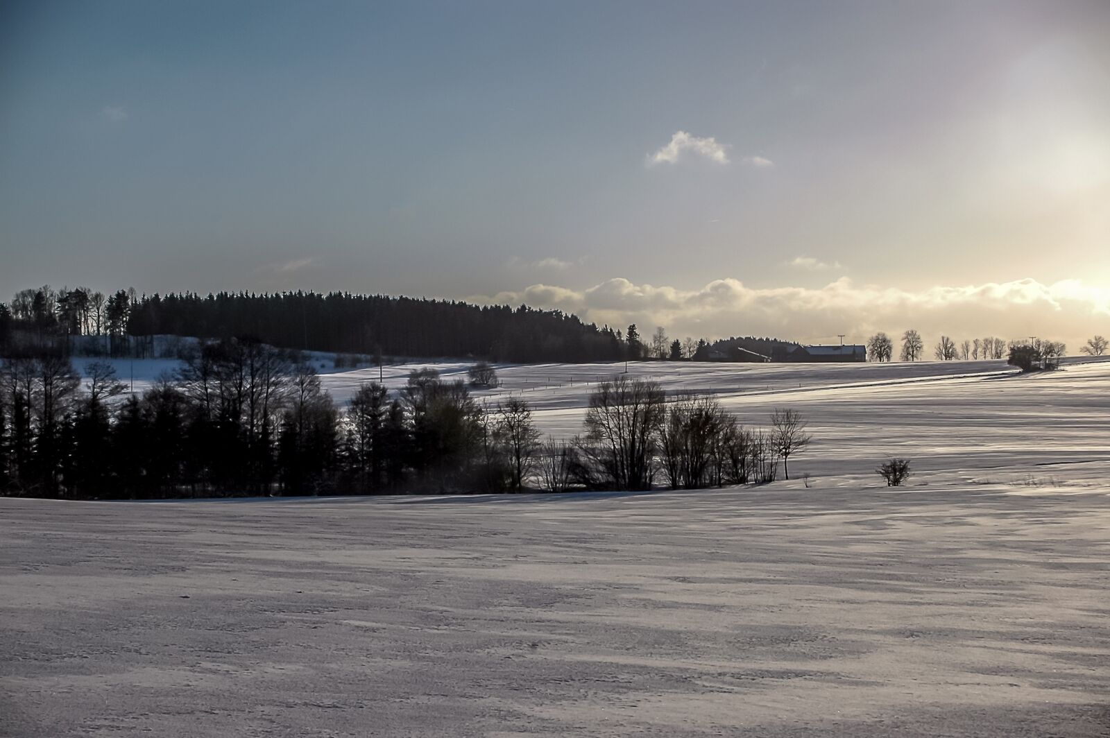 Nikon D70 sample photo. Winter, snow, evening sun photography