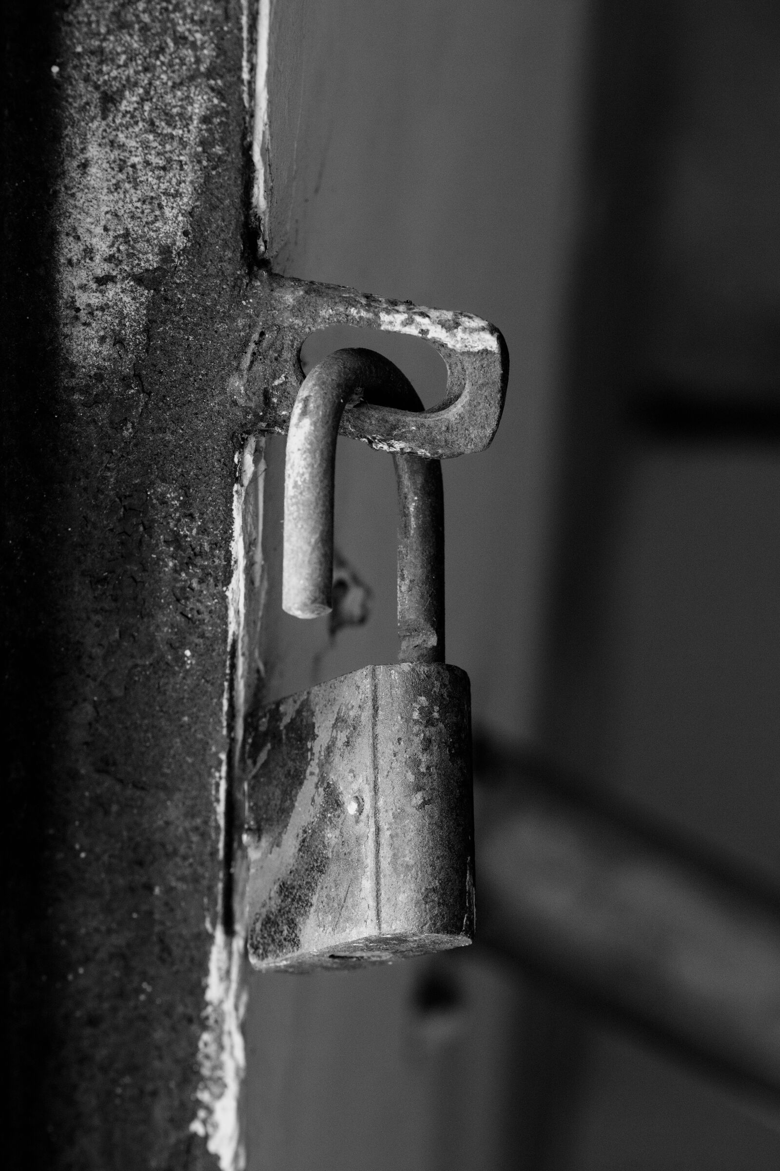 Canon EOS 6D Mark II sample photo. Lock, black and white photography