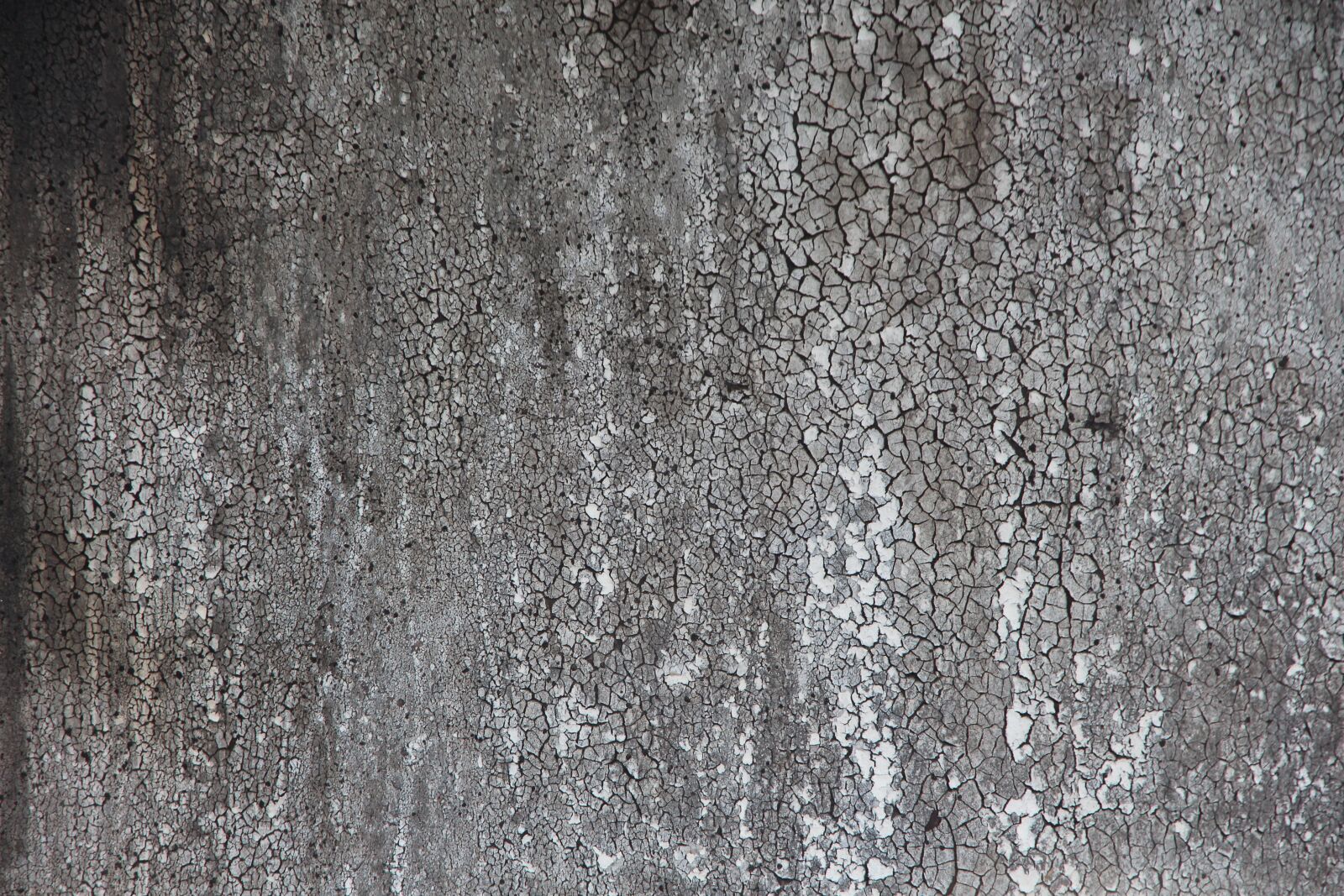 Canon EOS 650D (EOS Rebel T4i / EOS Kiss X6i) sample photo. Wall, relief, texture photography