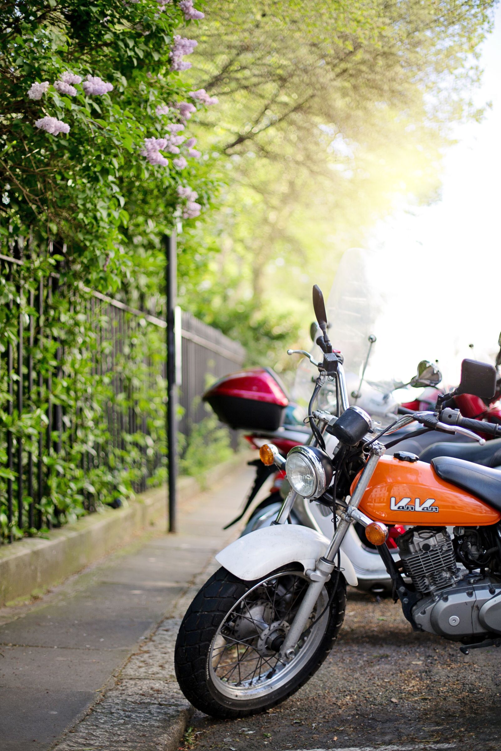 Canon EF 50mm F1.4 USM sample photo. Motorcycle, motor bike, vehicle photography