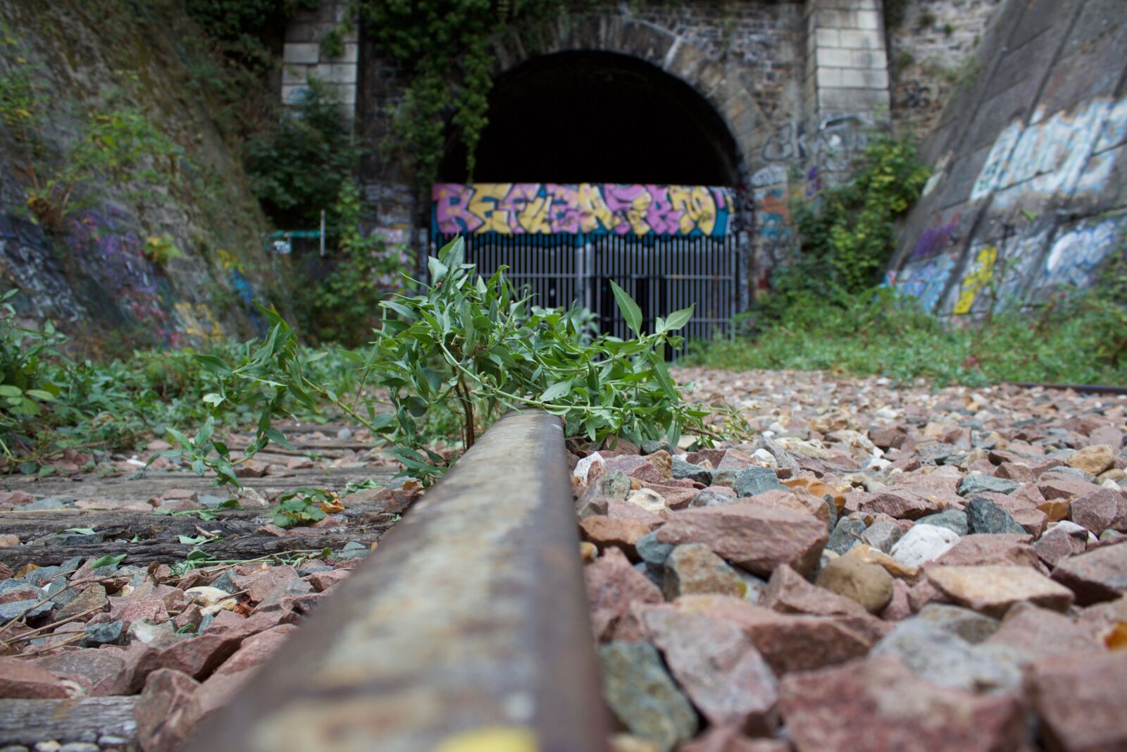 Canon EOS 1200D (EOS Rebel T5 / EOS Kiss X70 / EOS Hi) sample photo. Abandoned, old, rail photography