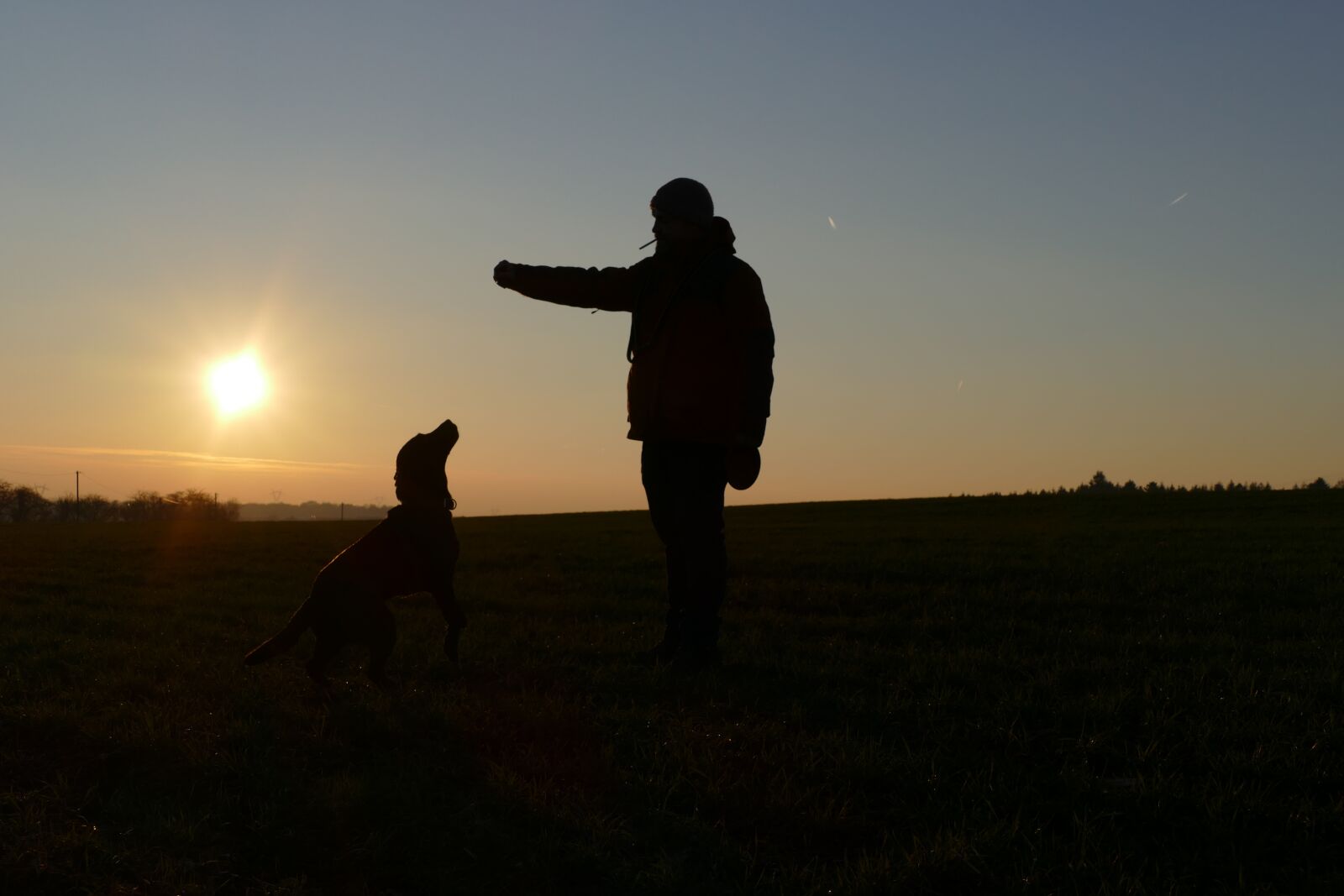 Panasonic Lumix DMC-FZ1000 sample photo. Sundown, people, dog photography