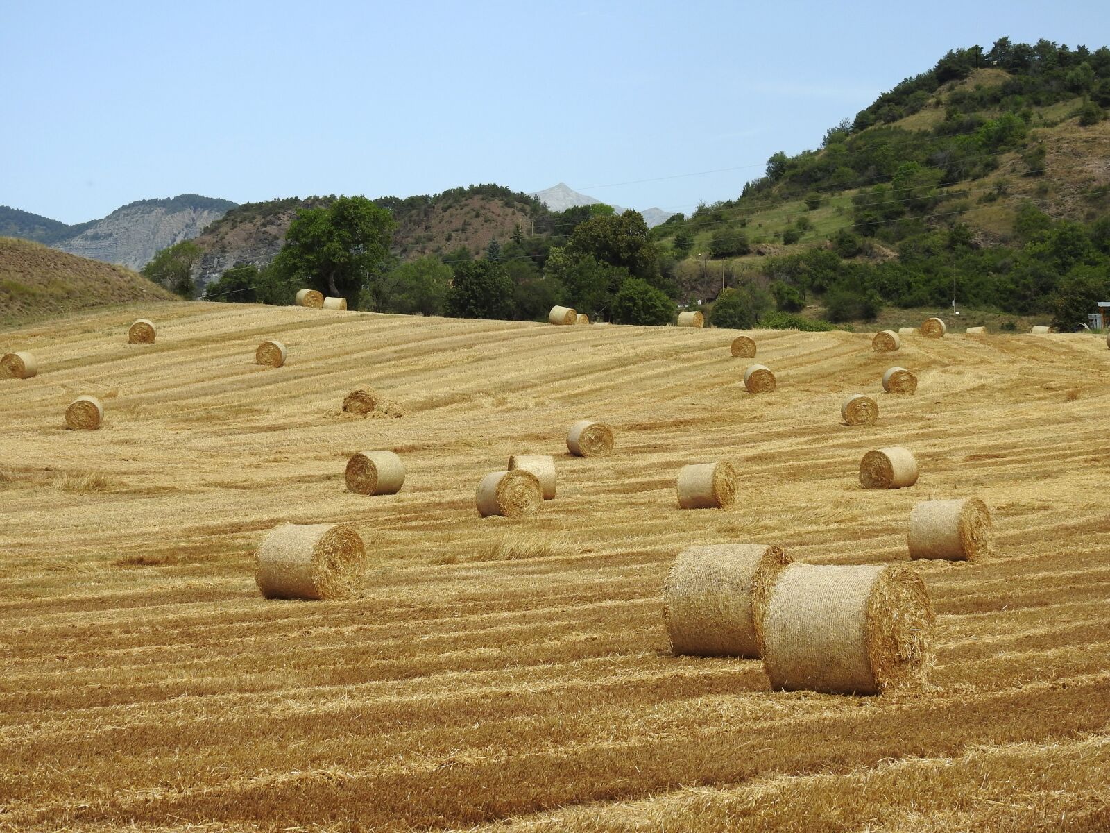 Nikon Coolpix P900 sample photo. Hay bales, hay, field photography