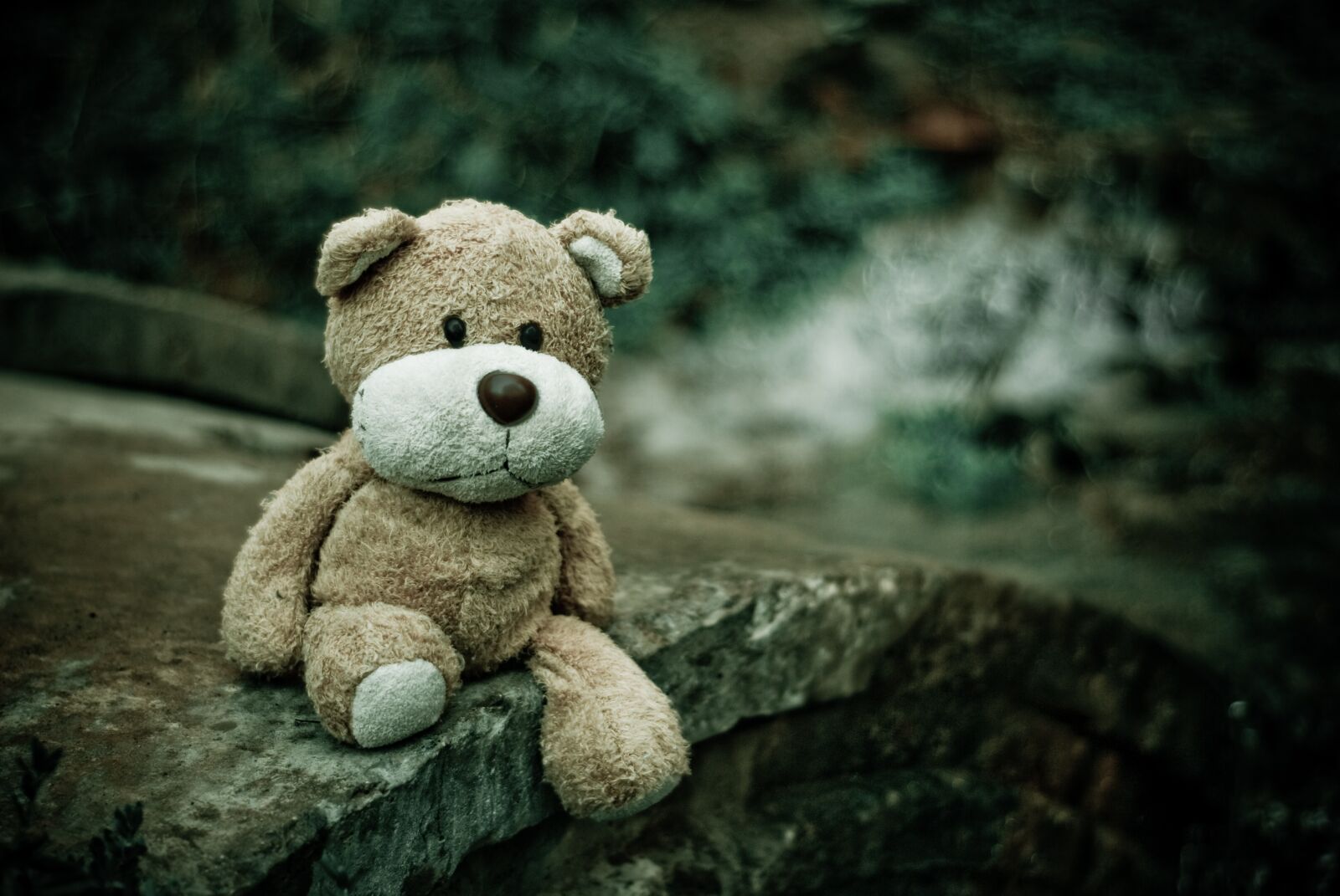 Nikon D80 sample photo. Close-up, macro, teddy bear photography