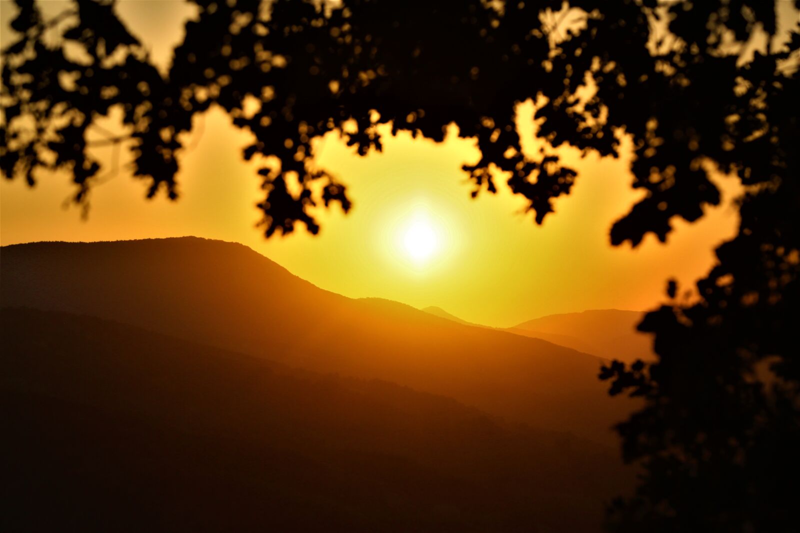 Canon EF 24-105mm F4L IS USM sample photo. Sunset, in the evening photography