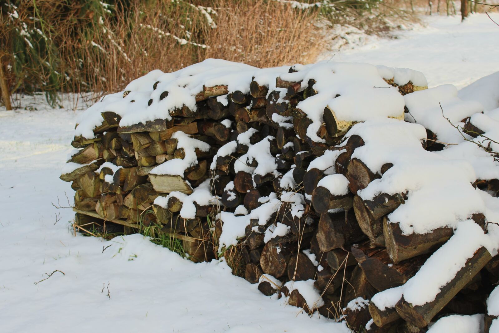 Canon EOS 700D (EOS Rebel T5i / EOS Kiss X7i) sample photo. Snow, wood, nature photography