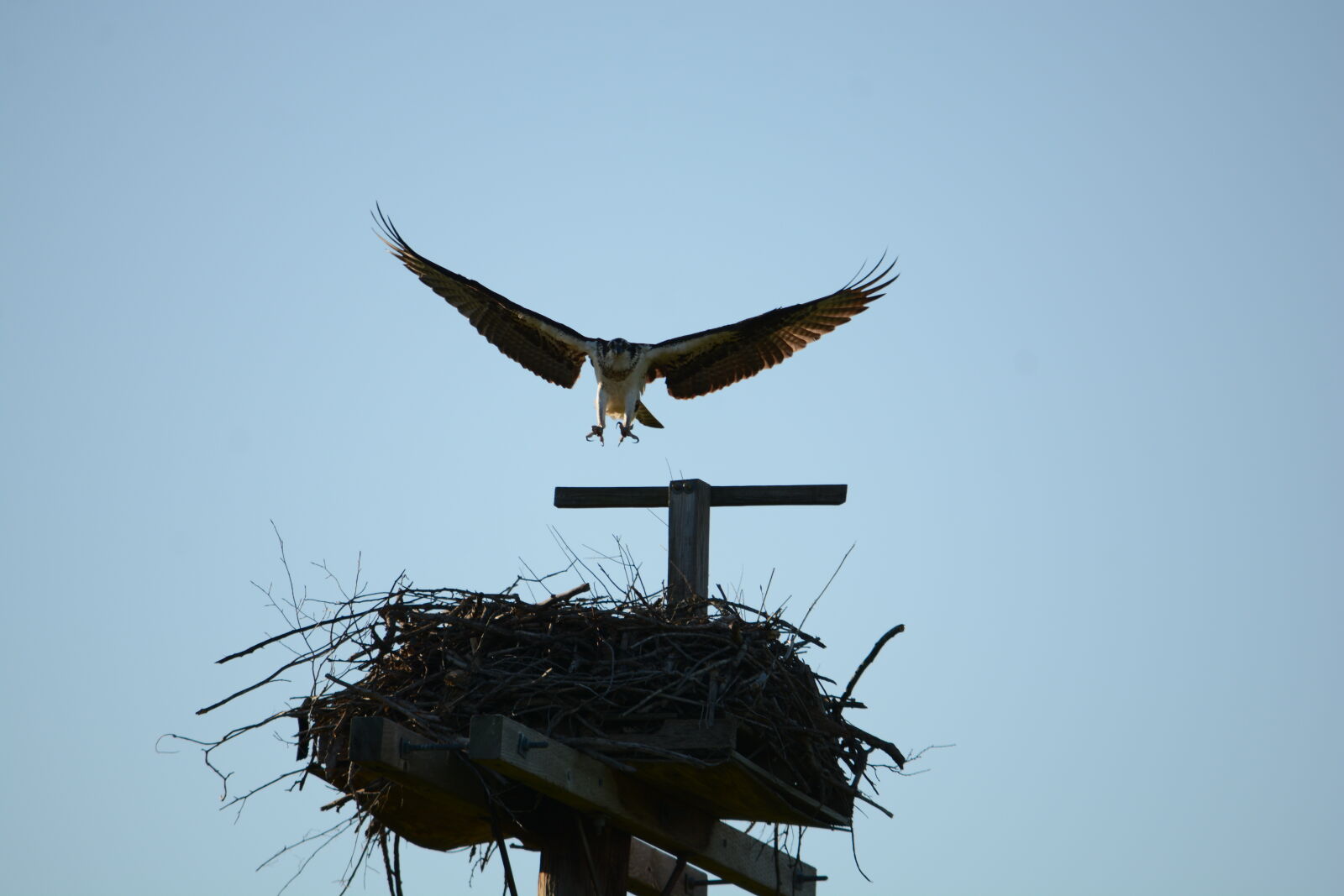 Nikon D7100 sample photo