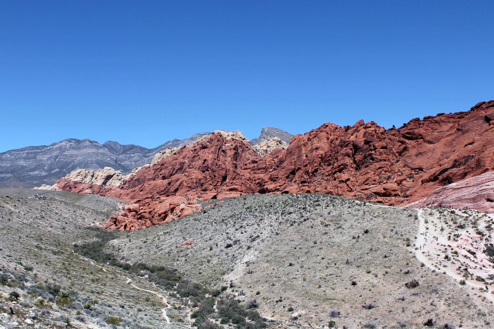 Canon EOS 1100D (EOS Rebel T3 / EOS Kiss X50) sample photo. Red rock, red rock photography