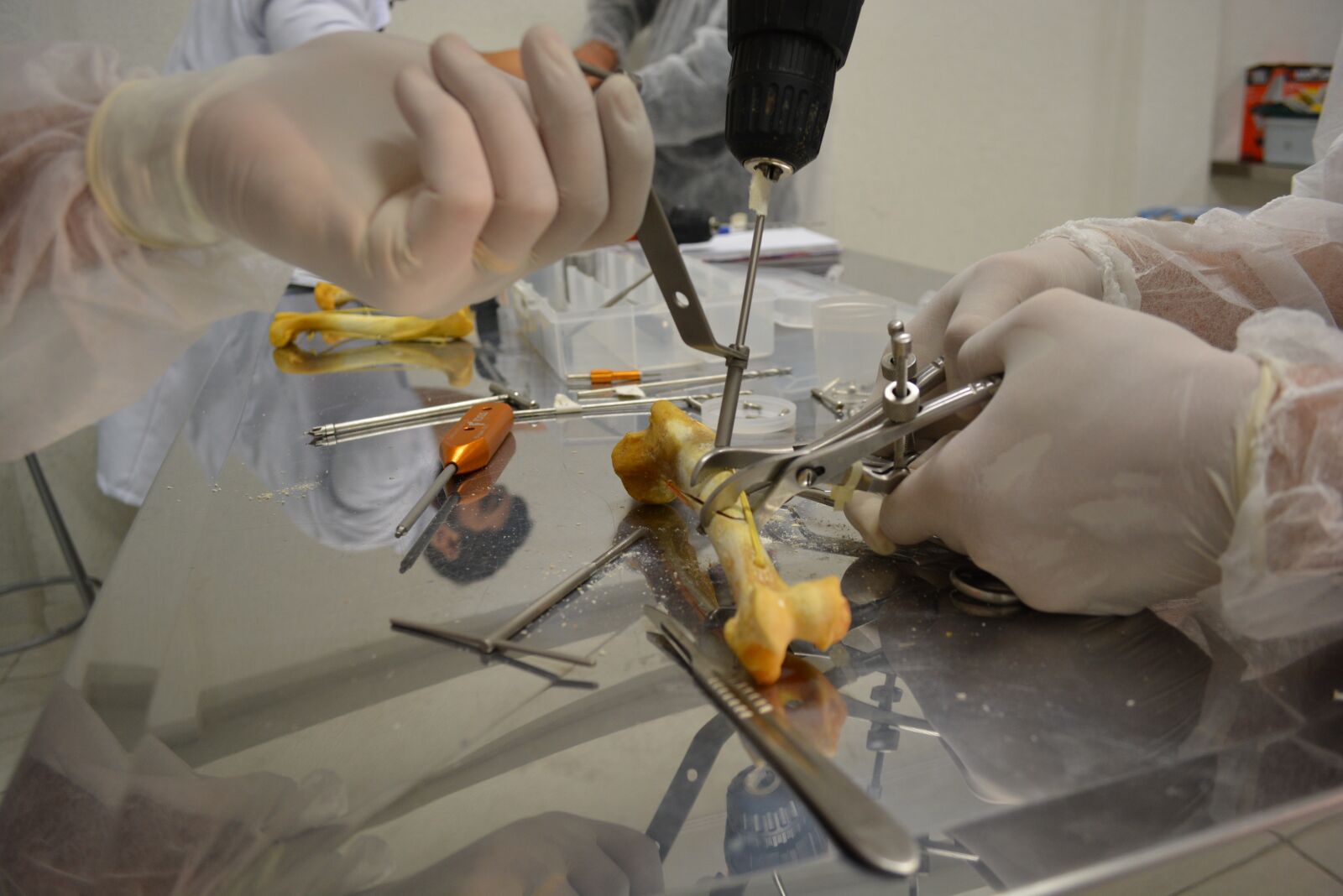 Nikon D5200 sample photo. Surgery, veterinary, orthopedics photography