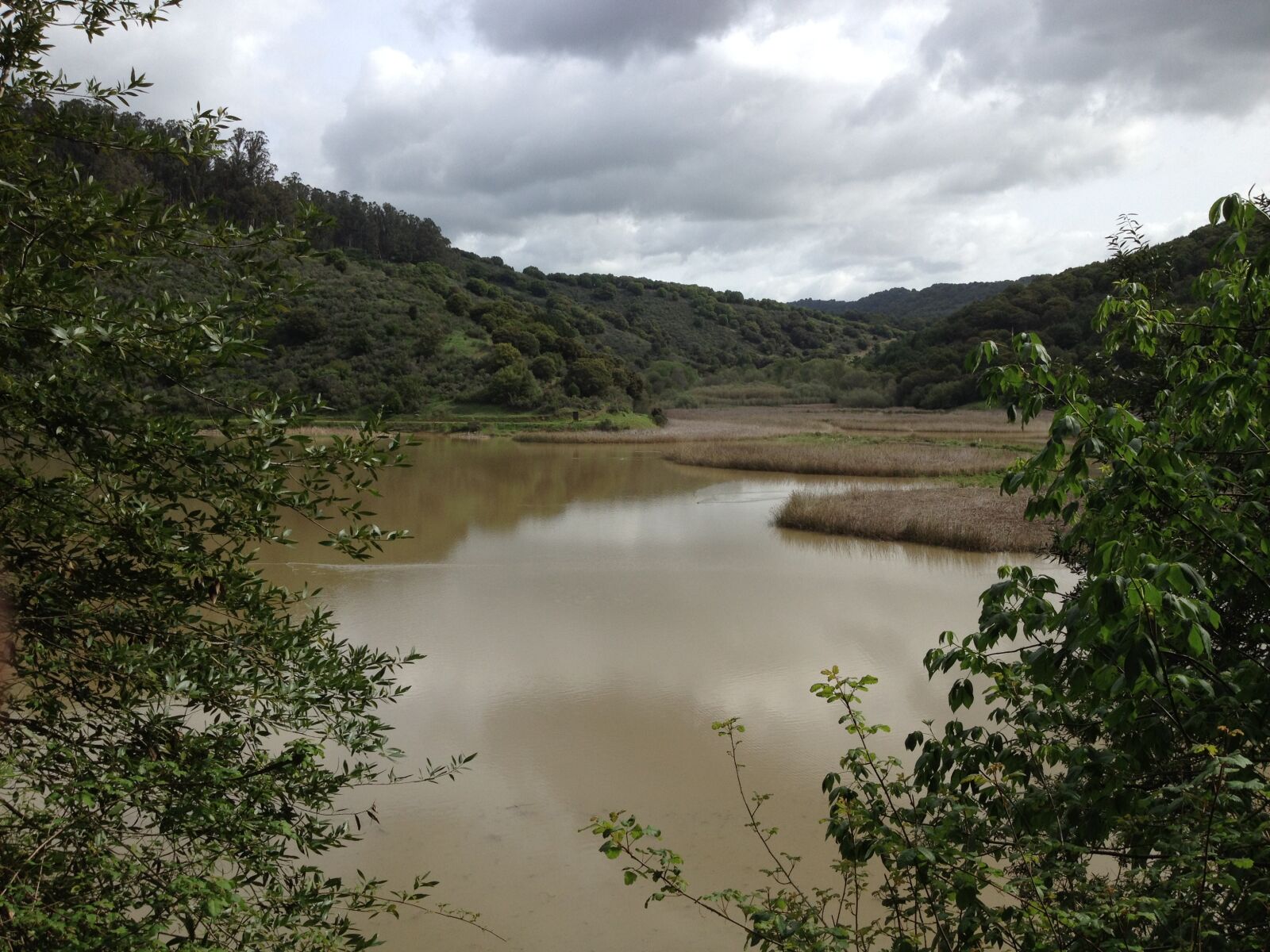iPhone 4S back camera 4.28mm f/2.4 sample photo. Lake, marsh, sky photography