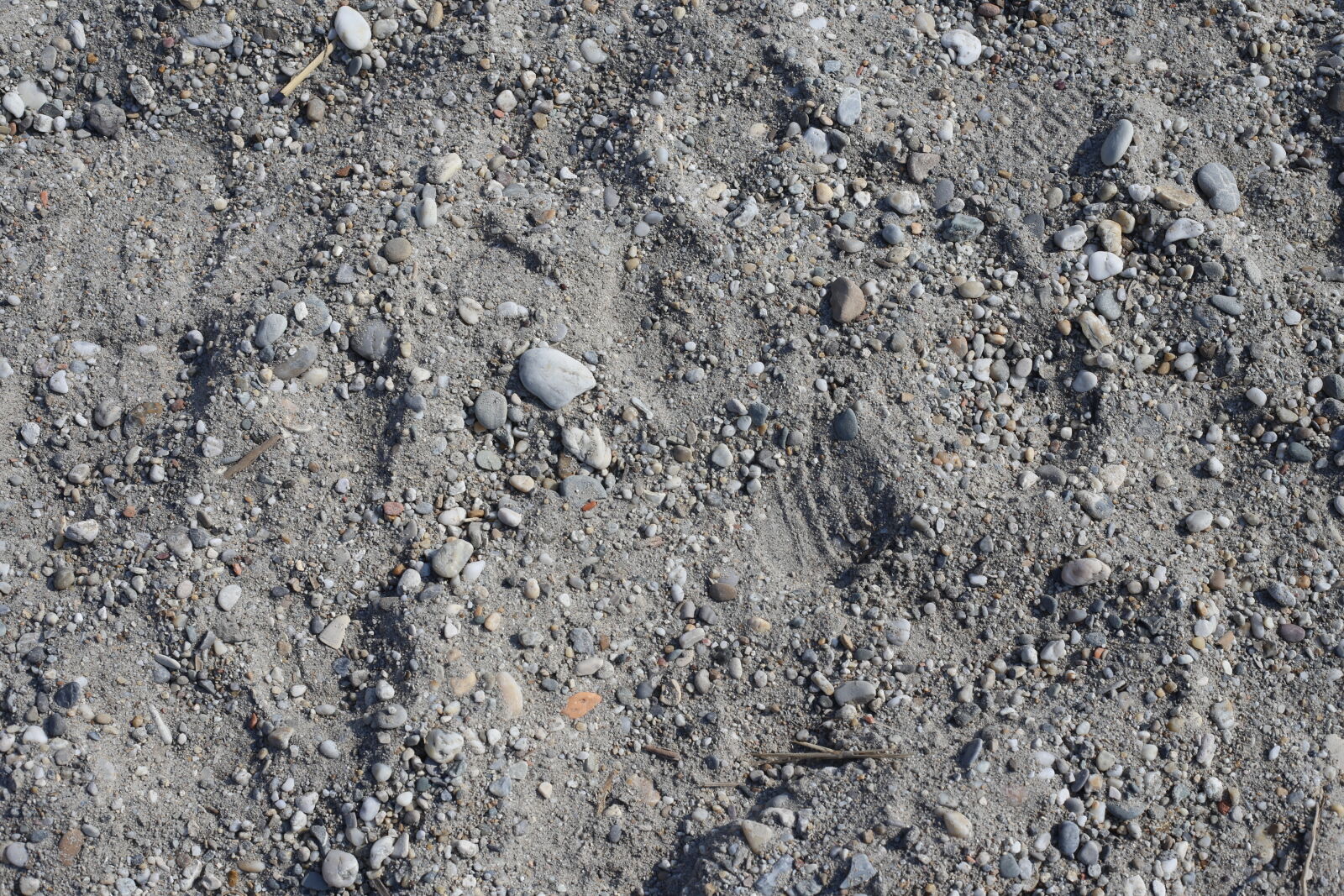 Canon EOS 6D + Canon EF 50mm F1.8 STM sample photo. Gravel, pebbles, sand, texture photography