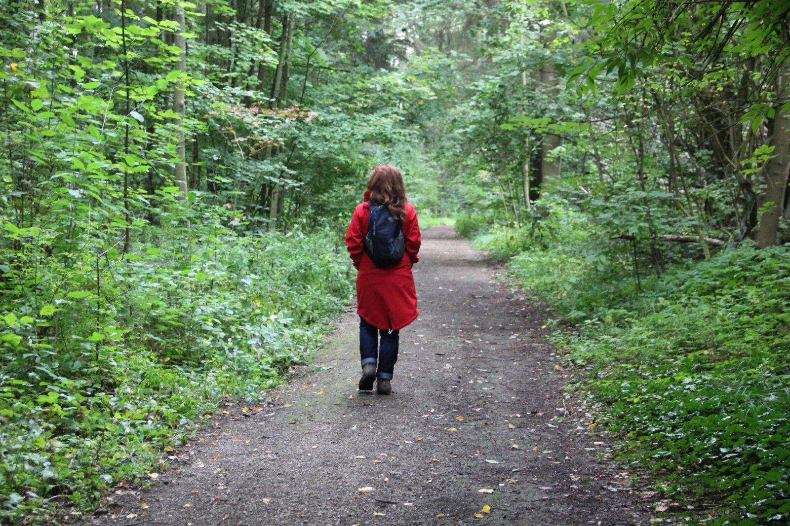 Canon EOS 60D sample photo. Forest, walk, nature photography