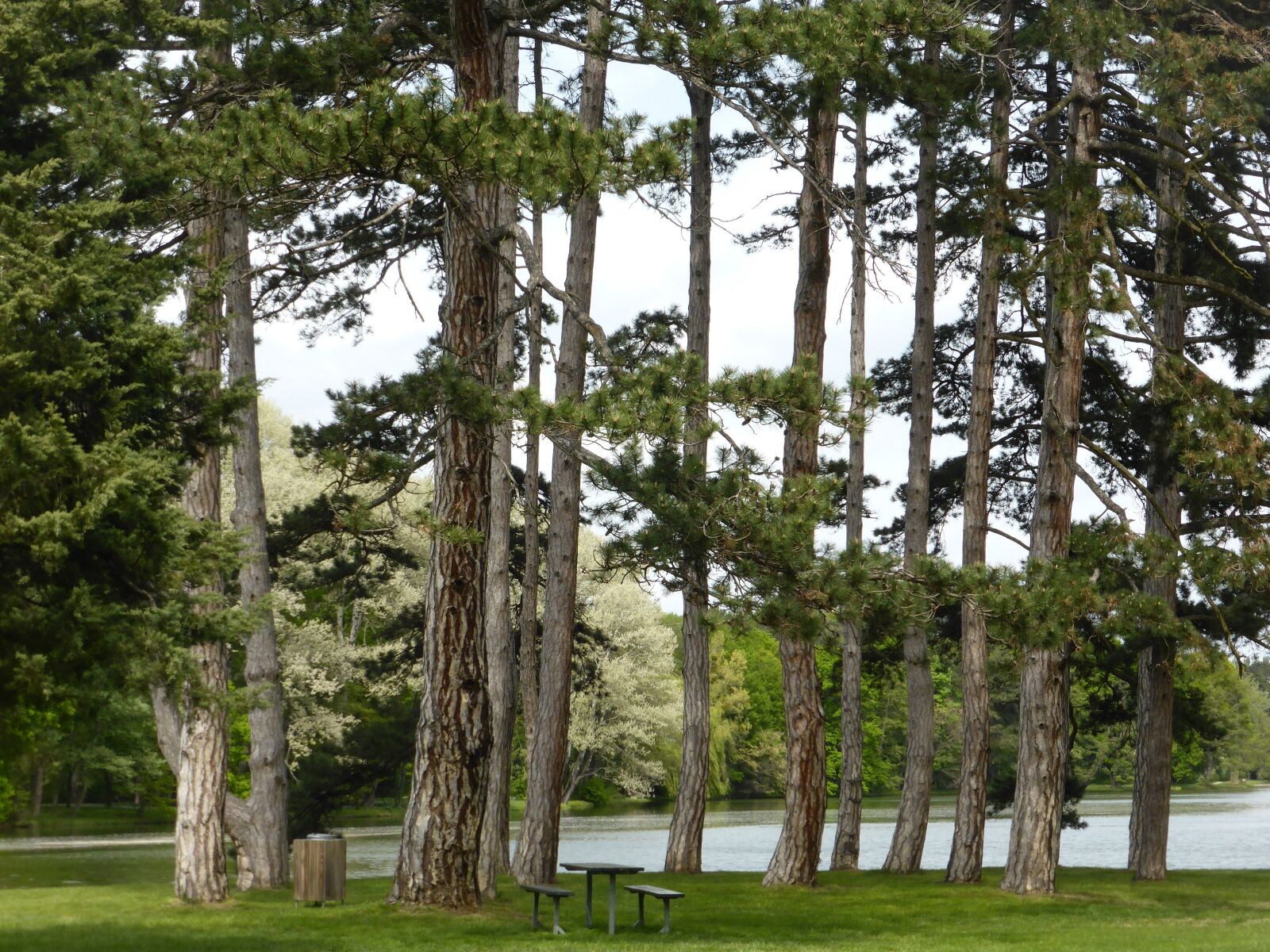 Panasonic Lumix DMC-ZS30 (Lumix DMC-TZ40) sample photo. Forest, castle, arena photography