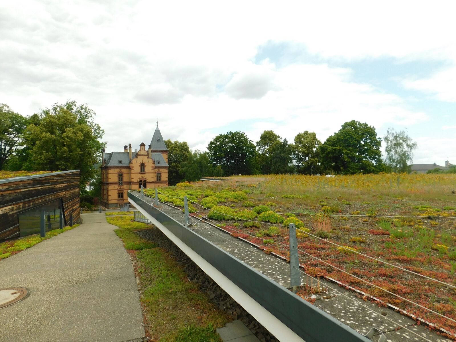 Nikon Coolpix B500 sample photo. Green roof, climate protection photography