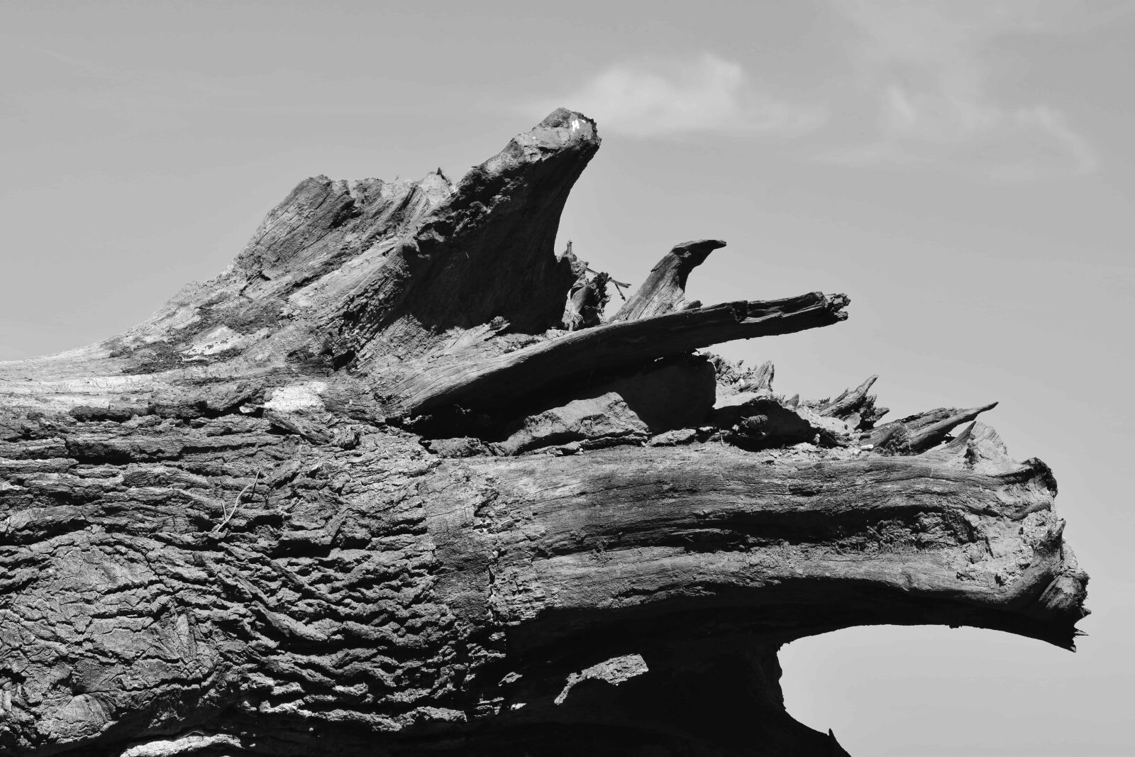 Nikon D3300 sample photo. Dry, old, sky, wood photography