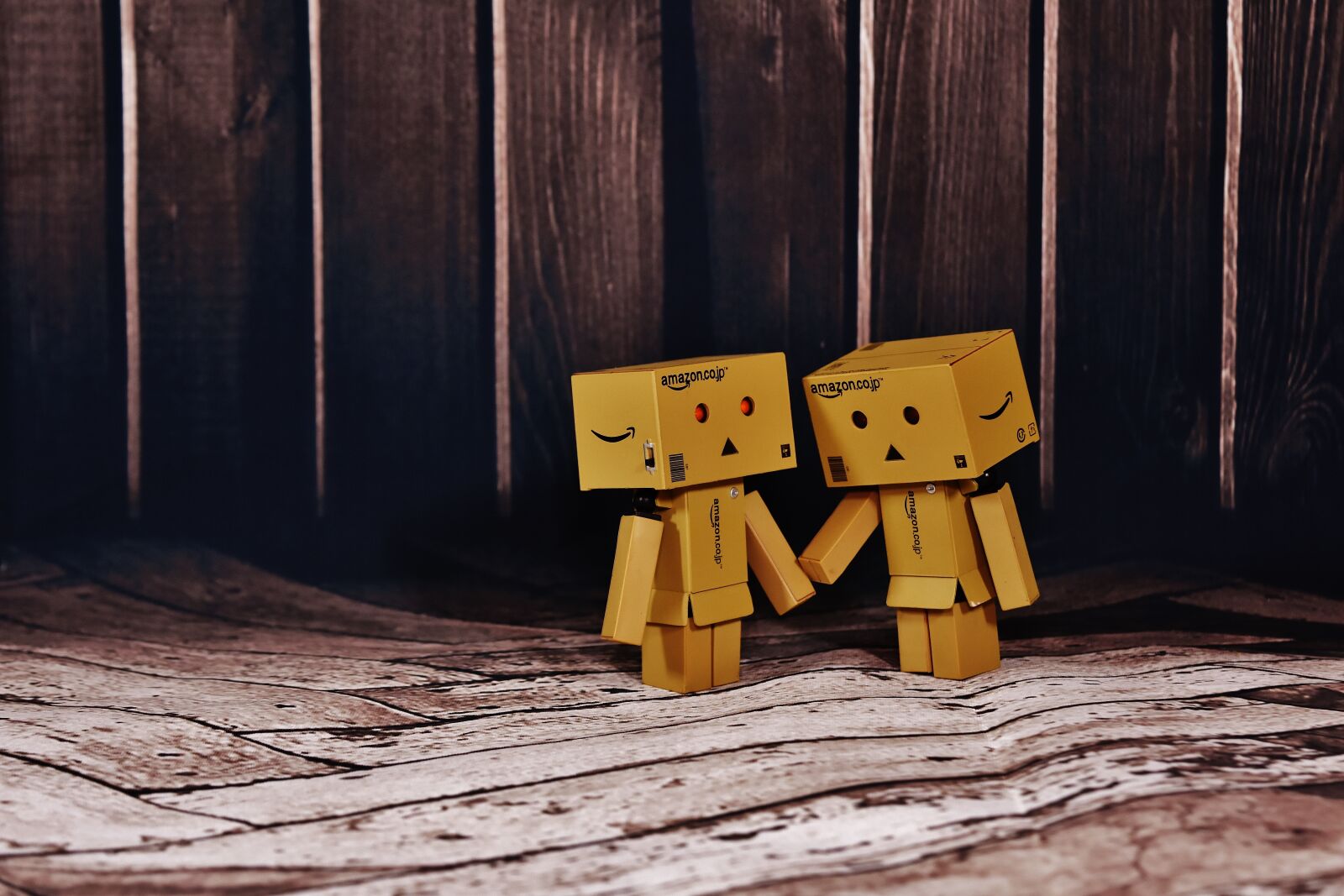 Nikon D7200 sample photo. Danbo, figure, together photography