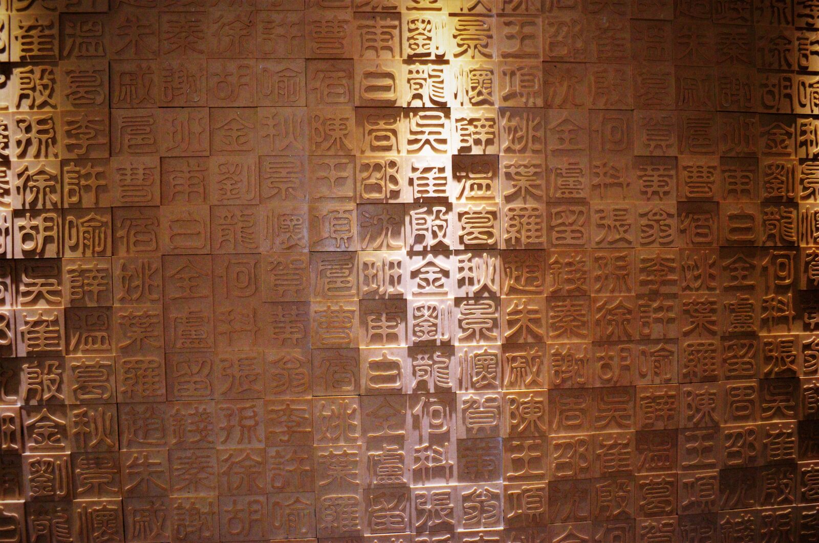 Nikon D5100 sample photo. Chinese, article, wall photography