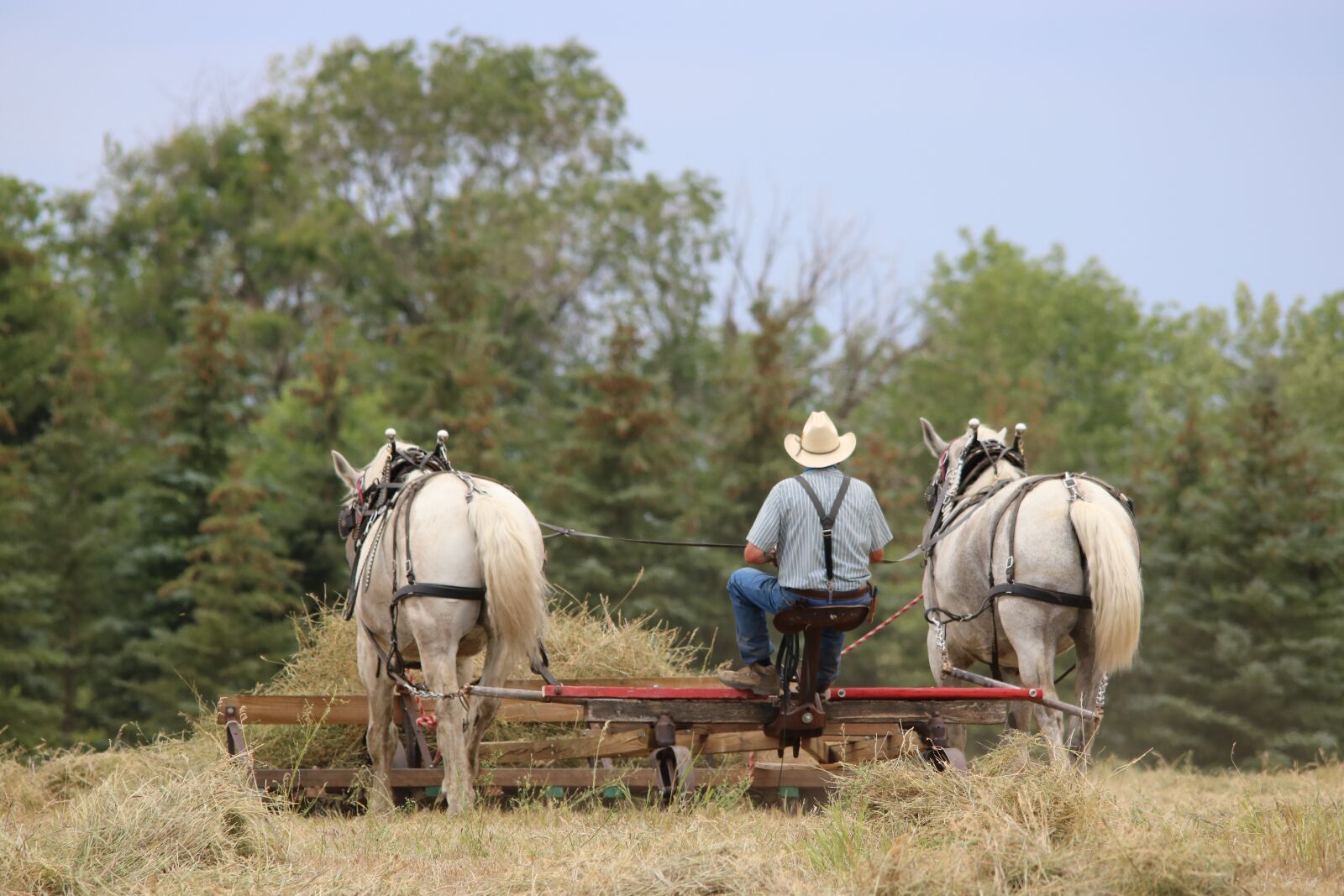 Canon EOS 750D (EOS Rebel T6i / EOS Kiss X8i) sample photo. Farm, agriculture, nature photography