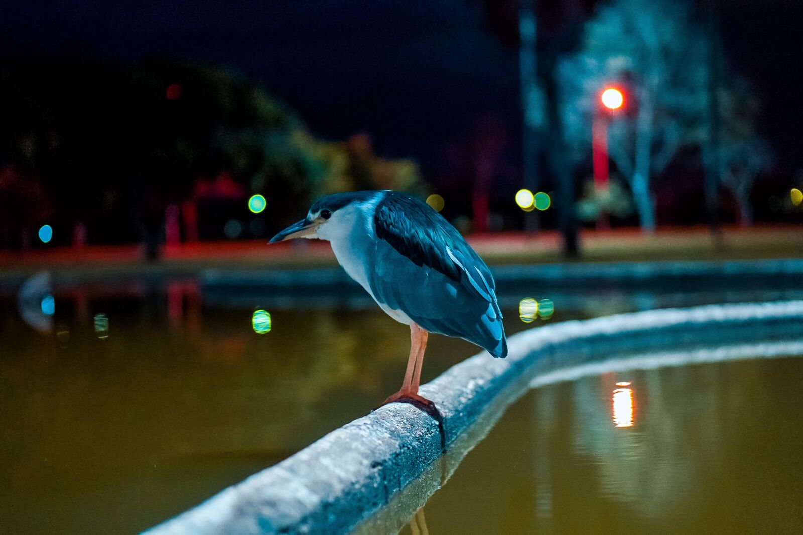 E 50mm F1.8 OSS sample photo. Savacu, square crystals, brasilia photography