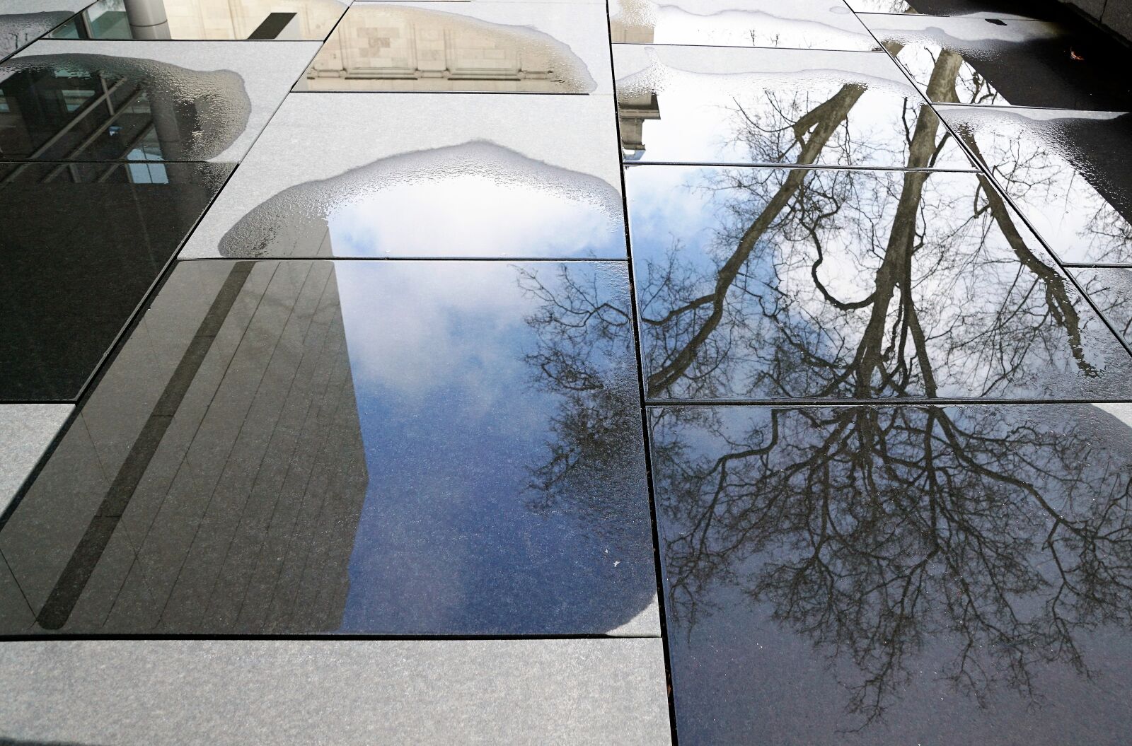 Sony ILCA-77M2 + Sony DT 16-50mm F2.8 SSM sample photo. Puddle, water, nature photography