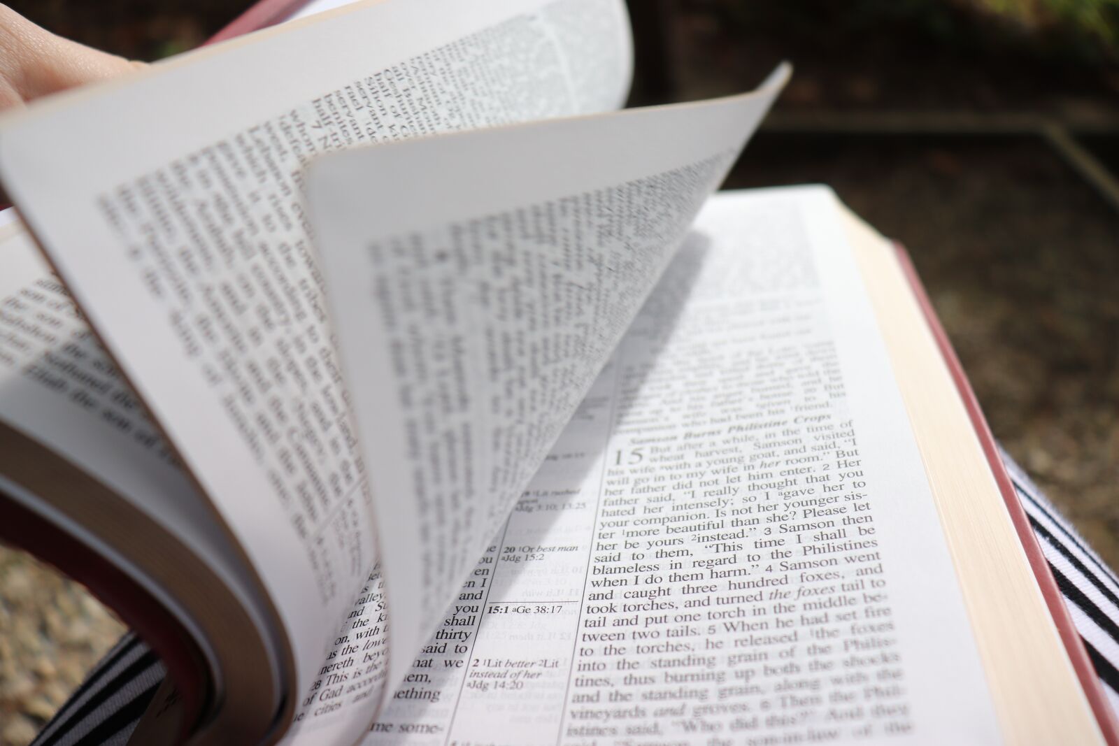 Canon EOS 800D (EOS Rebel T7i / EOS Kiss X9i) sample photo. Bible, moving, motion photography