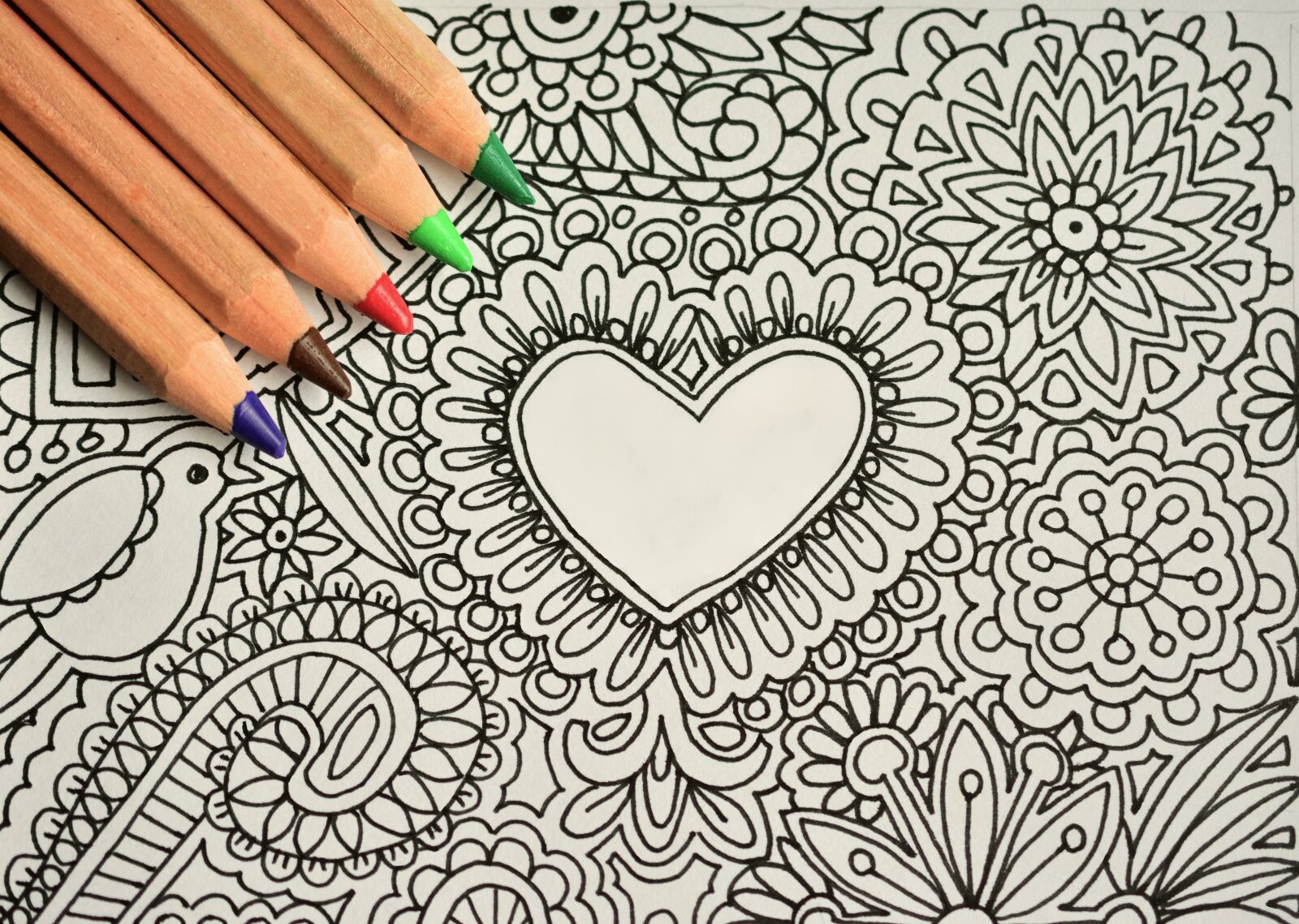 Nikon D5200 sample photo. Draw, paint, pen photography