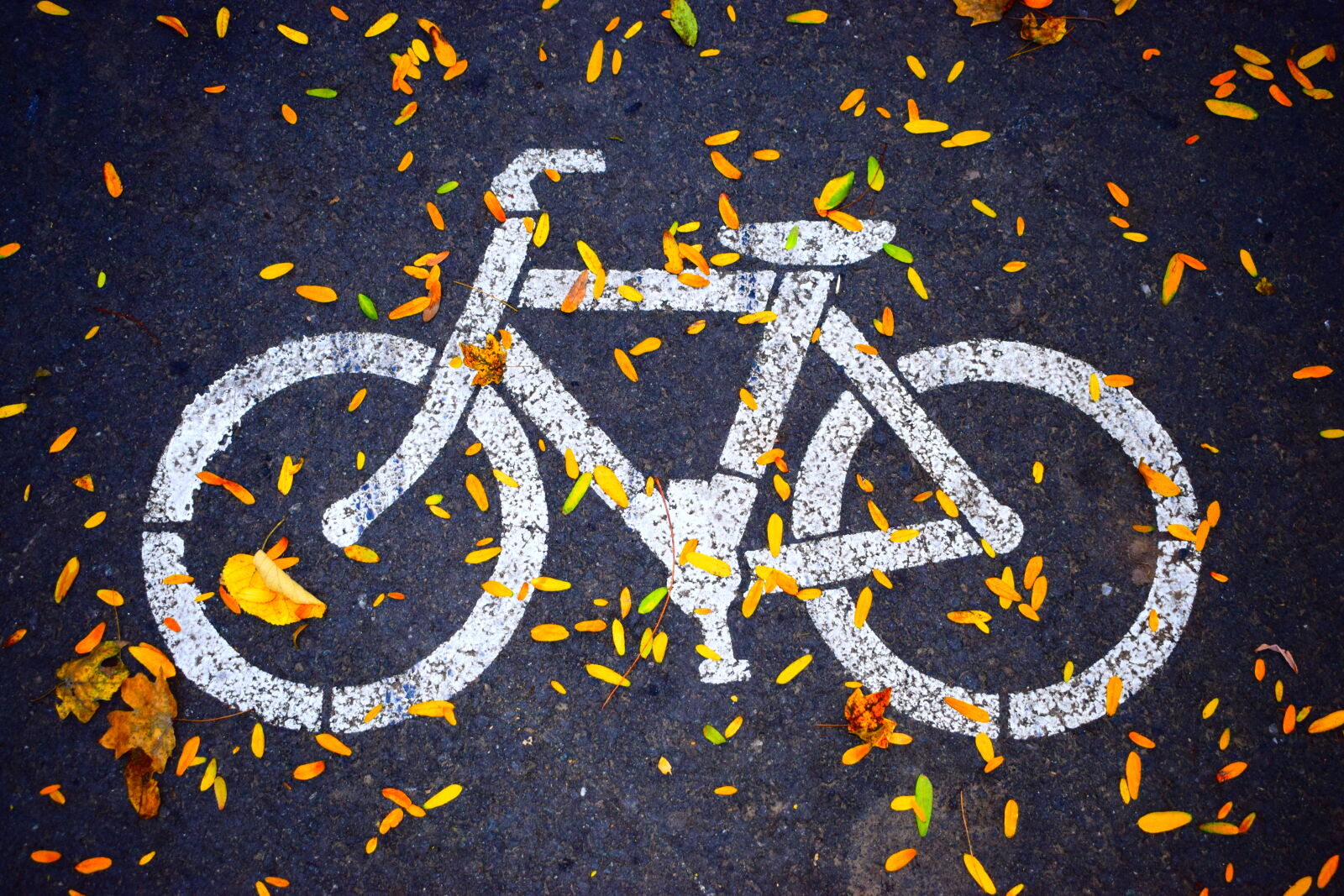 Nikon D3300 + Nikon AF-P DX Nikkor 18-55mm F3.5-5.6G sample photo. White, bicycle, road, sign photography