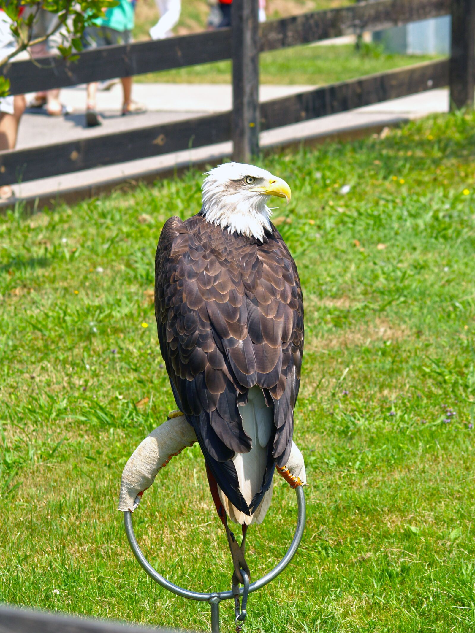 Olympus E-500 (EVOLT E-500) sample photo. Aguila, natural park, nature photography