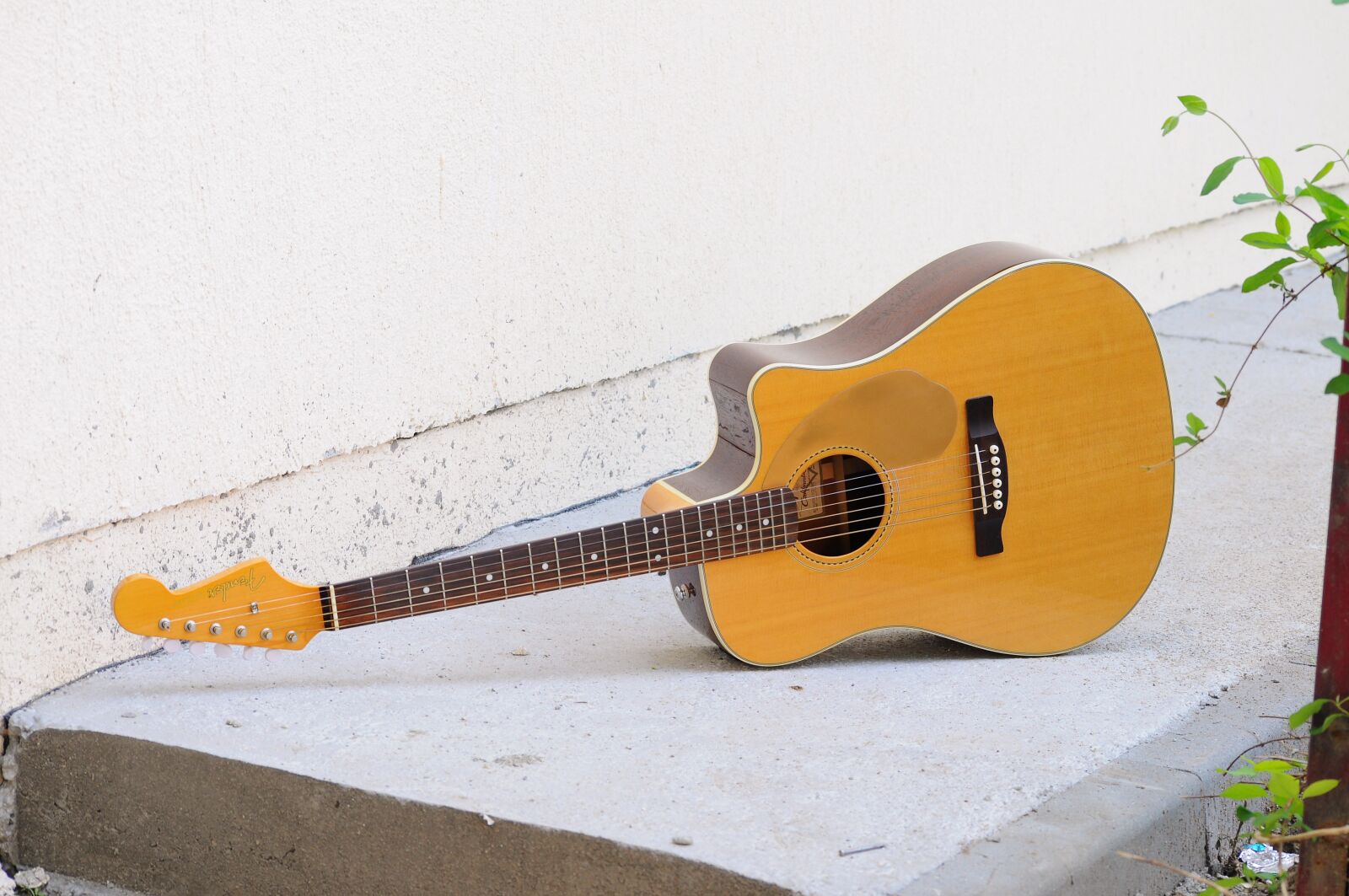 Nikon D5000 sample photo. Instrument, wood, guitar photography