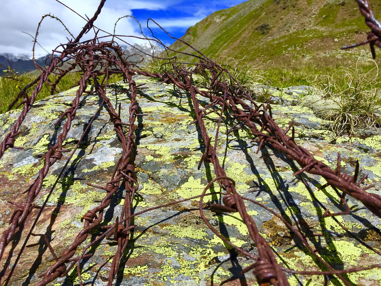 Apple iPhone 6s sample photo. Barbed wire, first war photography