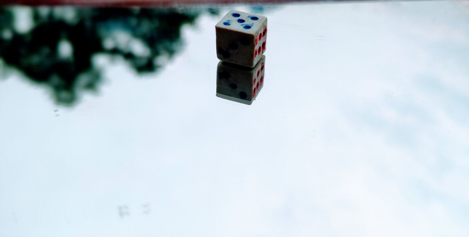 Xiaomi Mi A2 sample photo. Dice, skyview, tree shadow photography