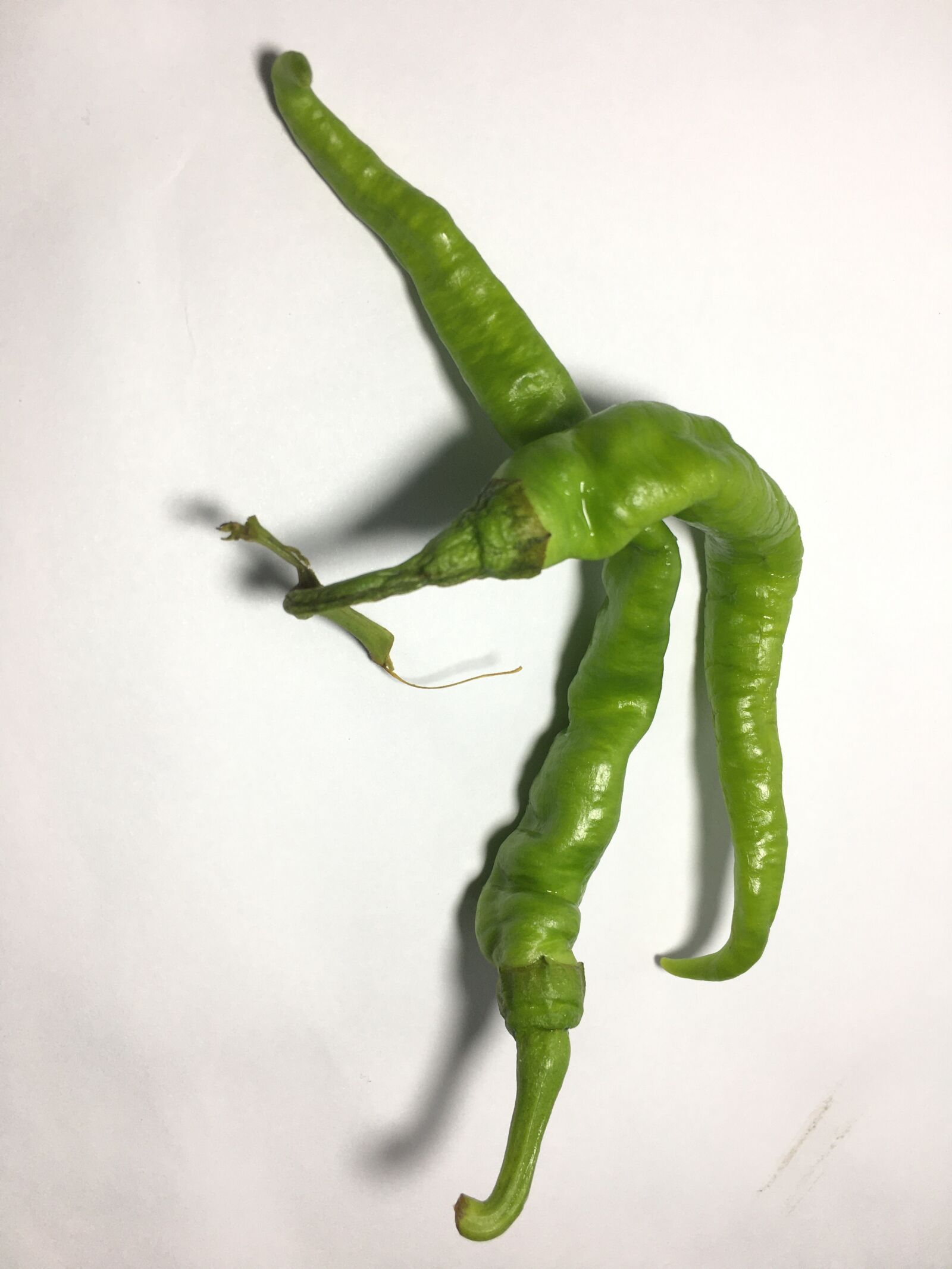 Apple iPhone 6s sample photo. Chili, green, healthy photography