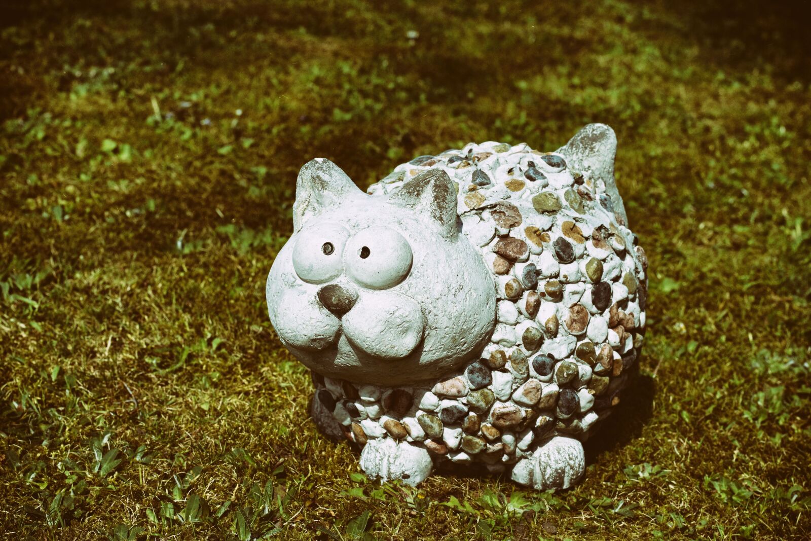 Nikon D7200 sample photo. Cat, figure, stone photography