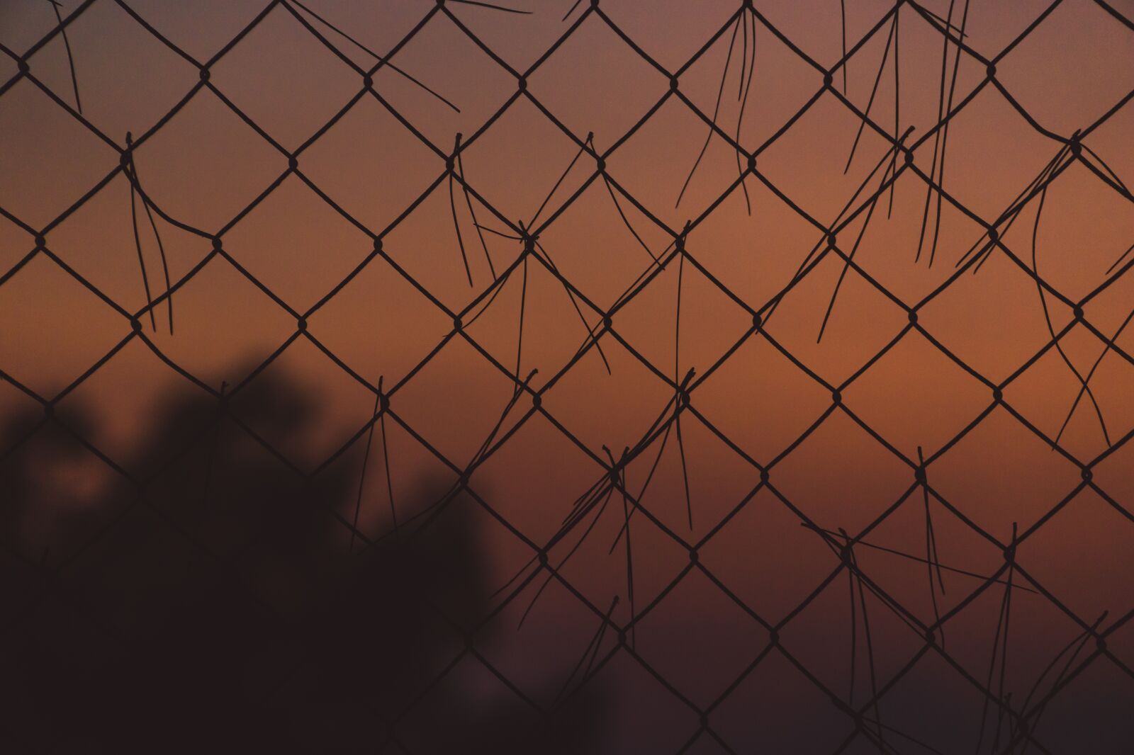 Sony a6000 sample photo. Chains, sunset, orange photography