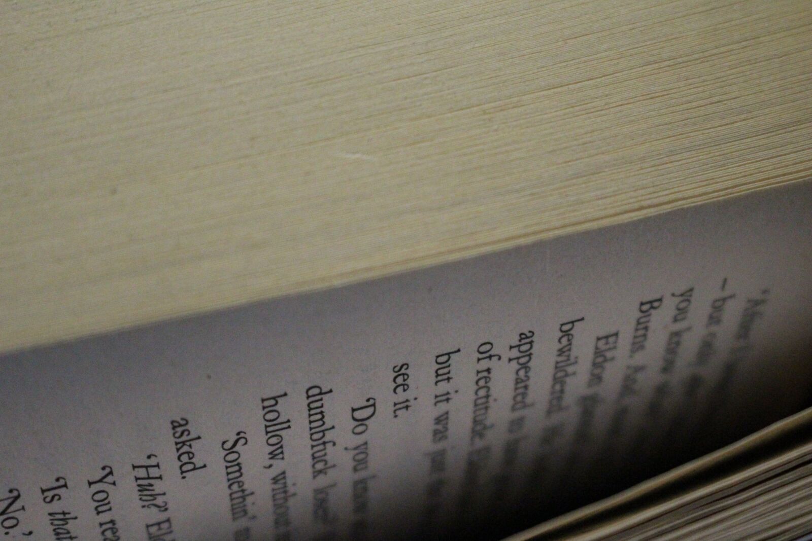 Canon EOS 100D (EOS Rebel SL1 / EOS Kiss X7) sample photo. Book, browse, pages photography